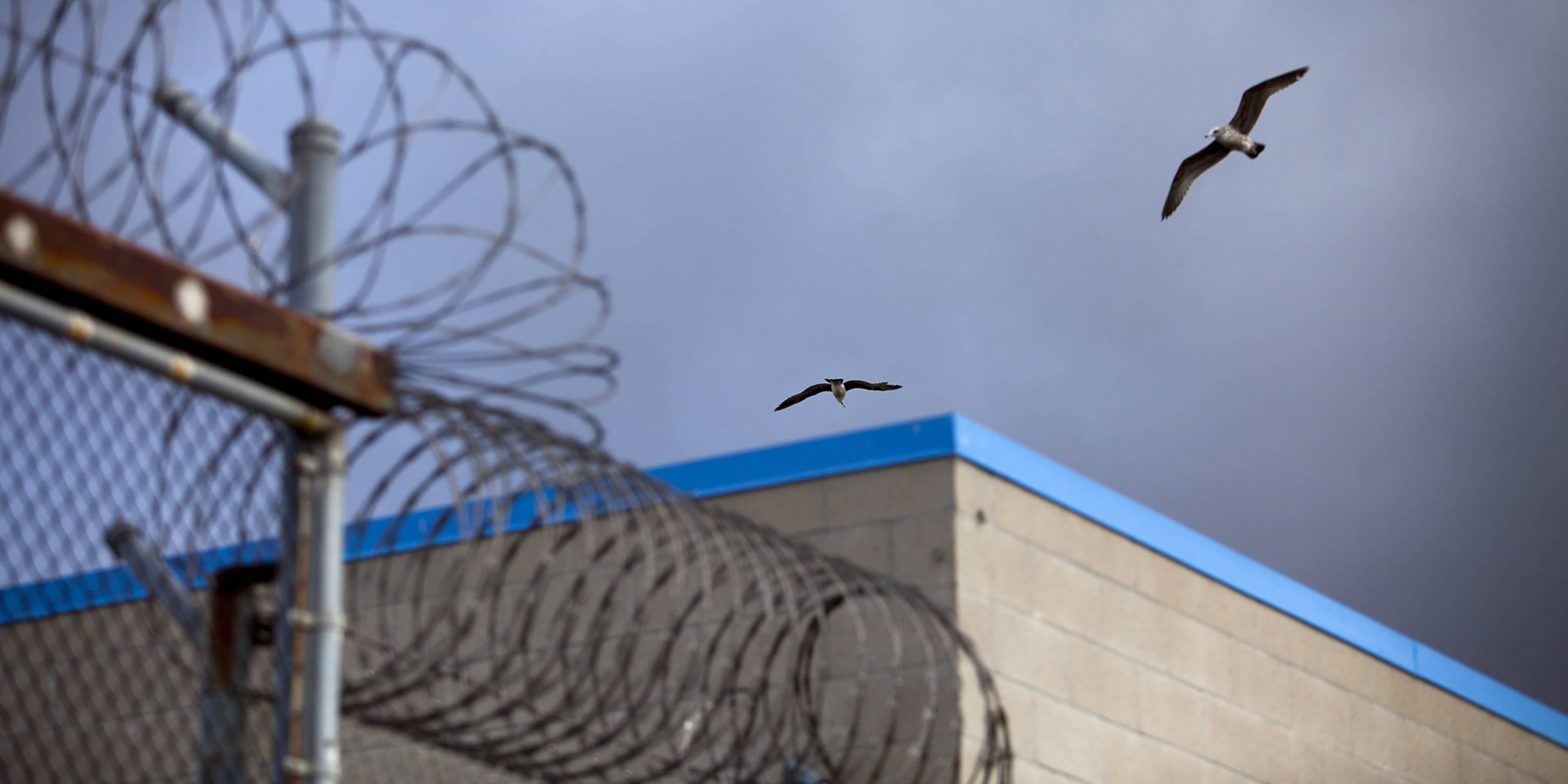 The image depicts a prison facility with barbed wire fencing and birds flying overhead against a cloudy sky.
