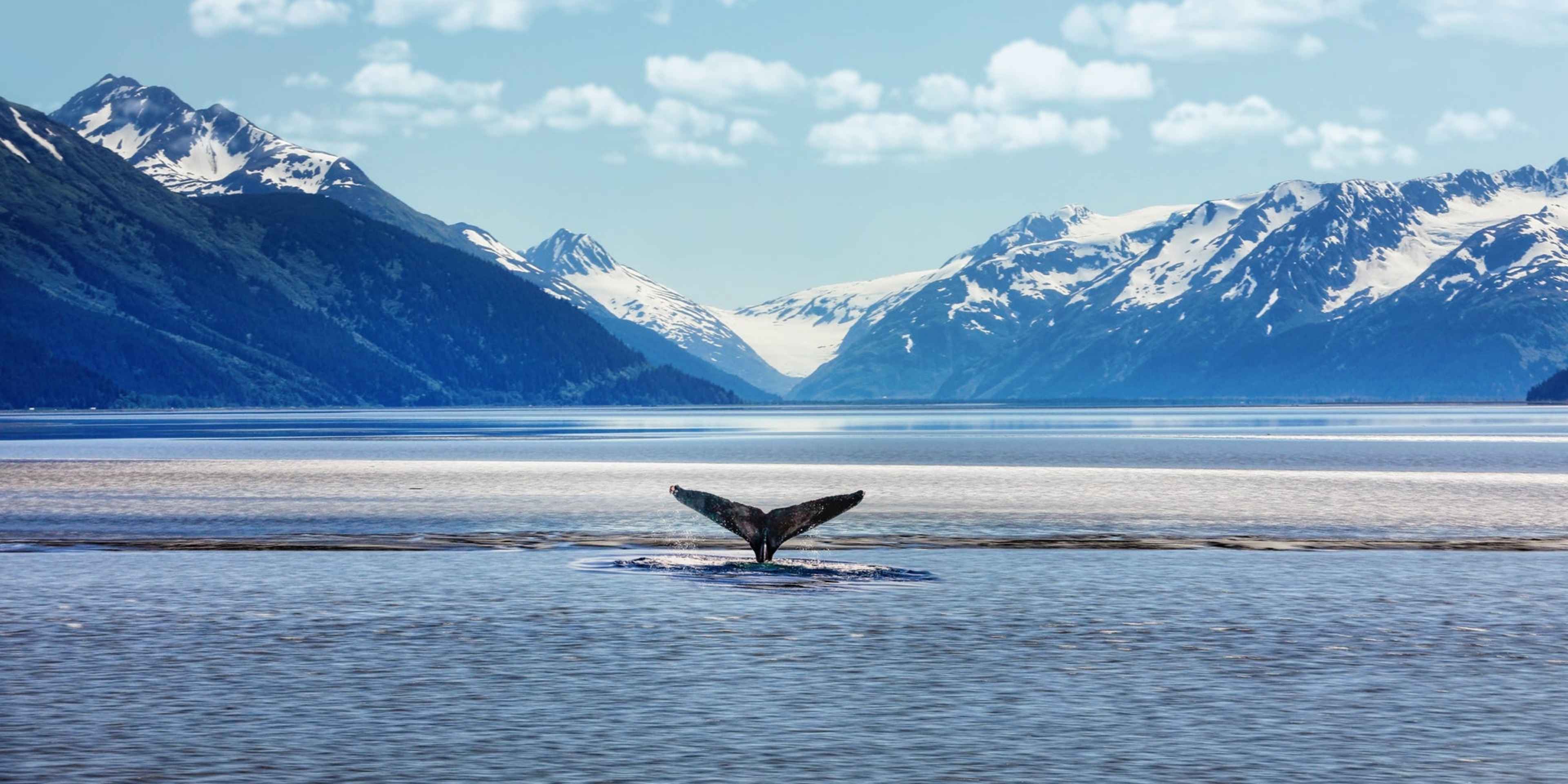Alaska wilderness with natural hemp