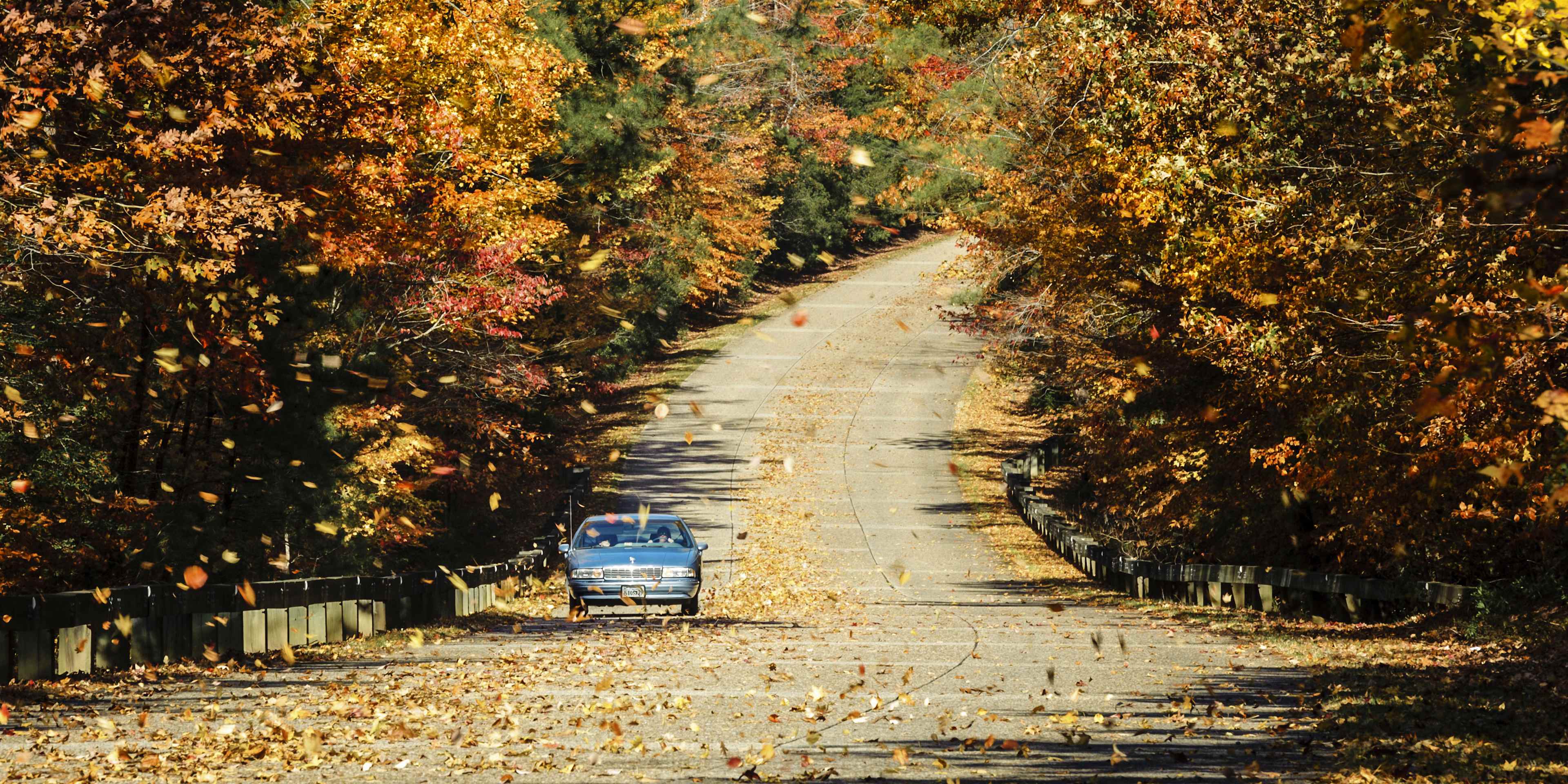 Car on the colonial parkway for a dazzling autumn drive, Williamsburg, Virginia, USA