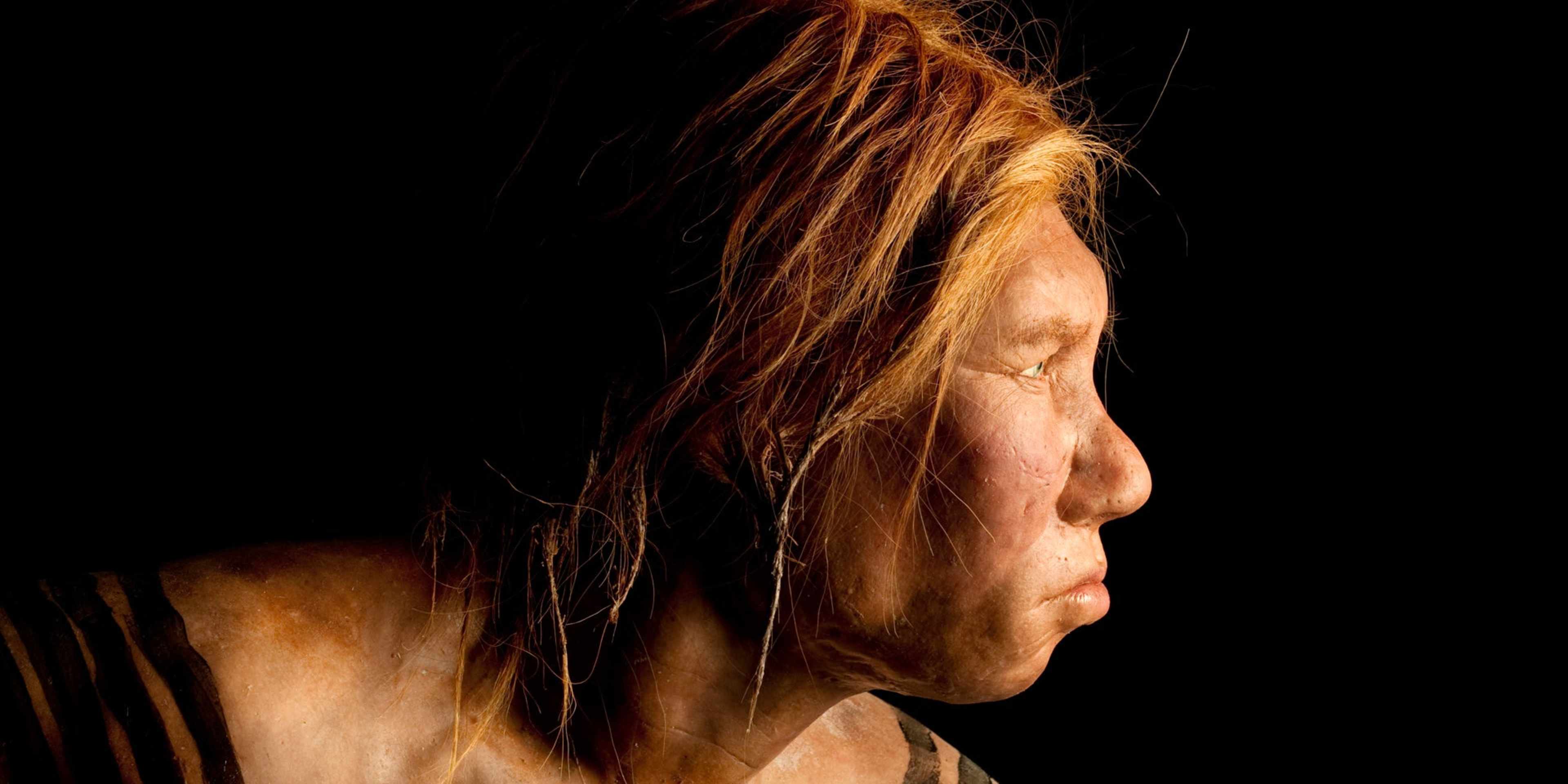 Neanderthal woman, recreation