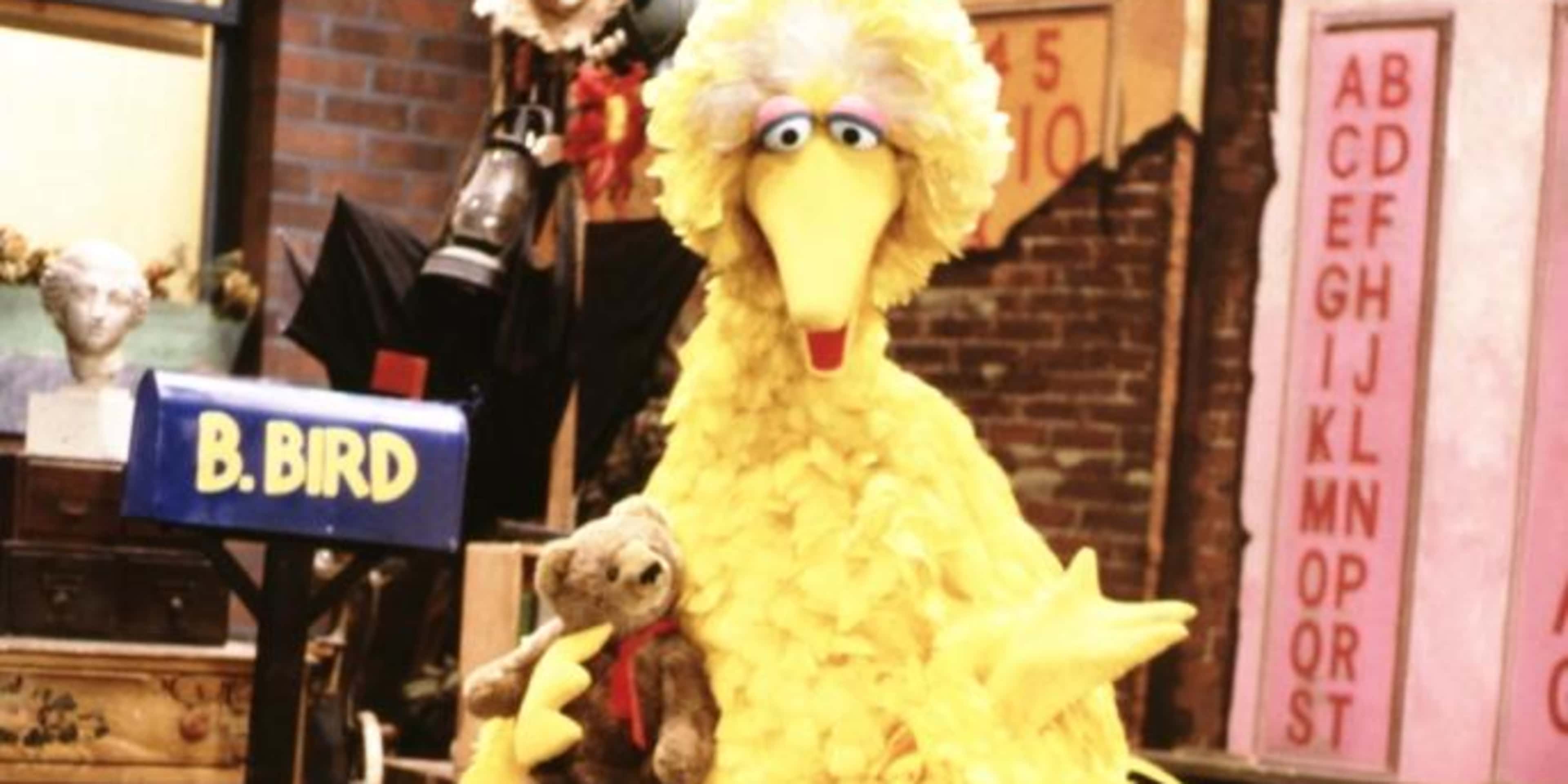 Big Bird from Sesame Street, 1969.