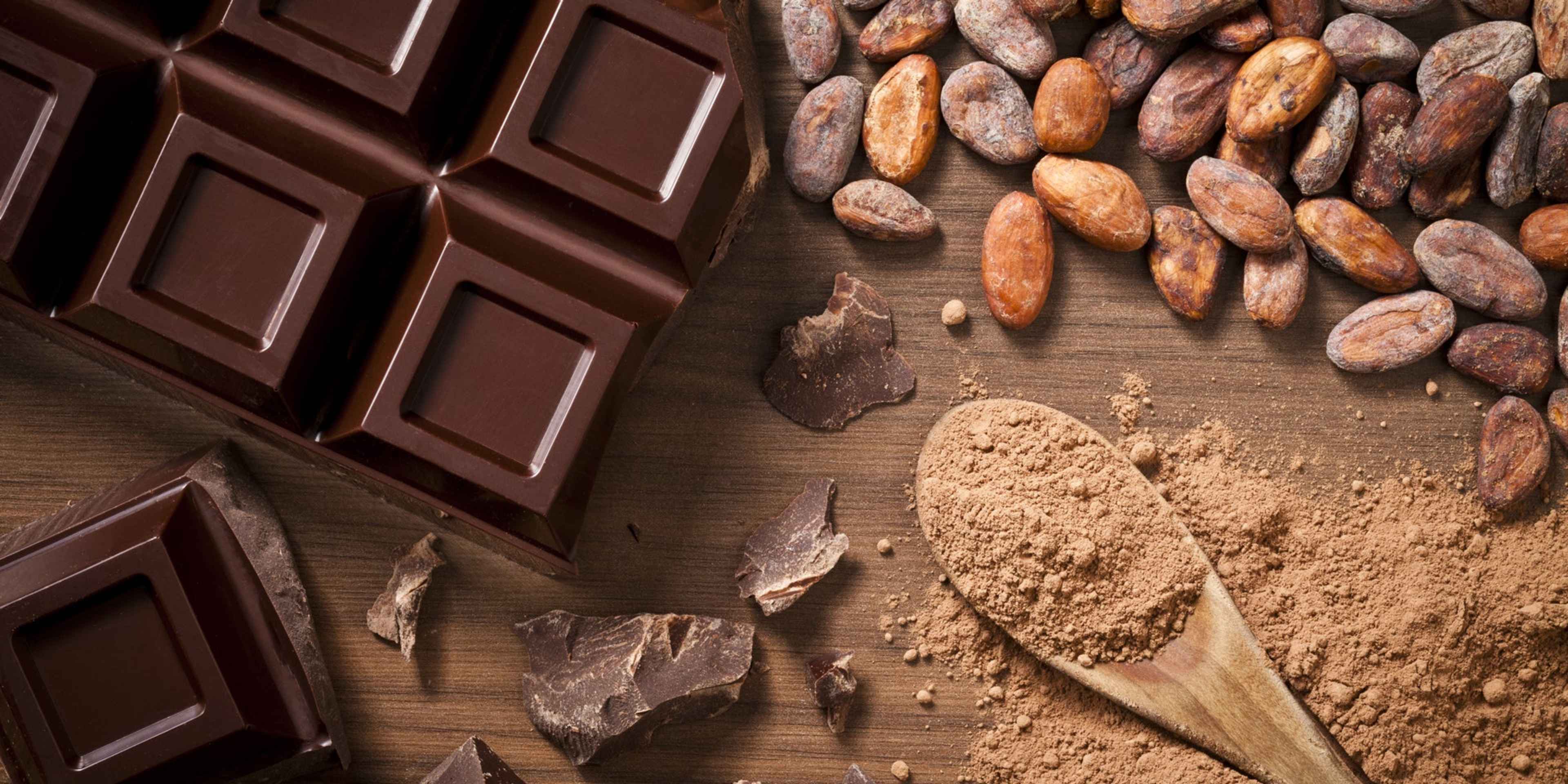 The History of Chocolate