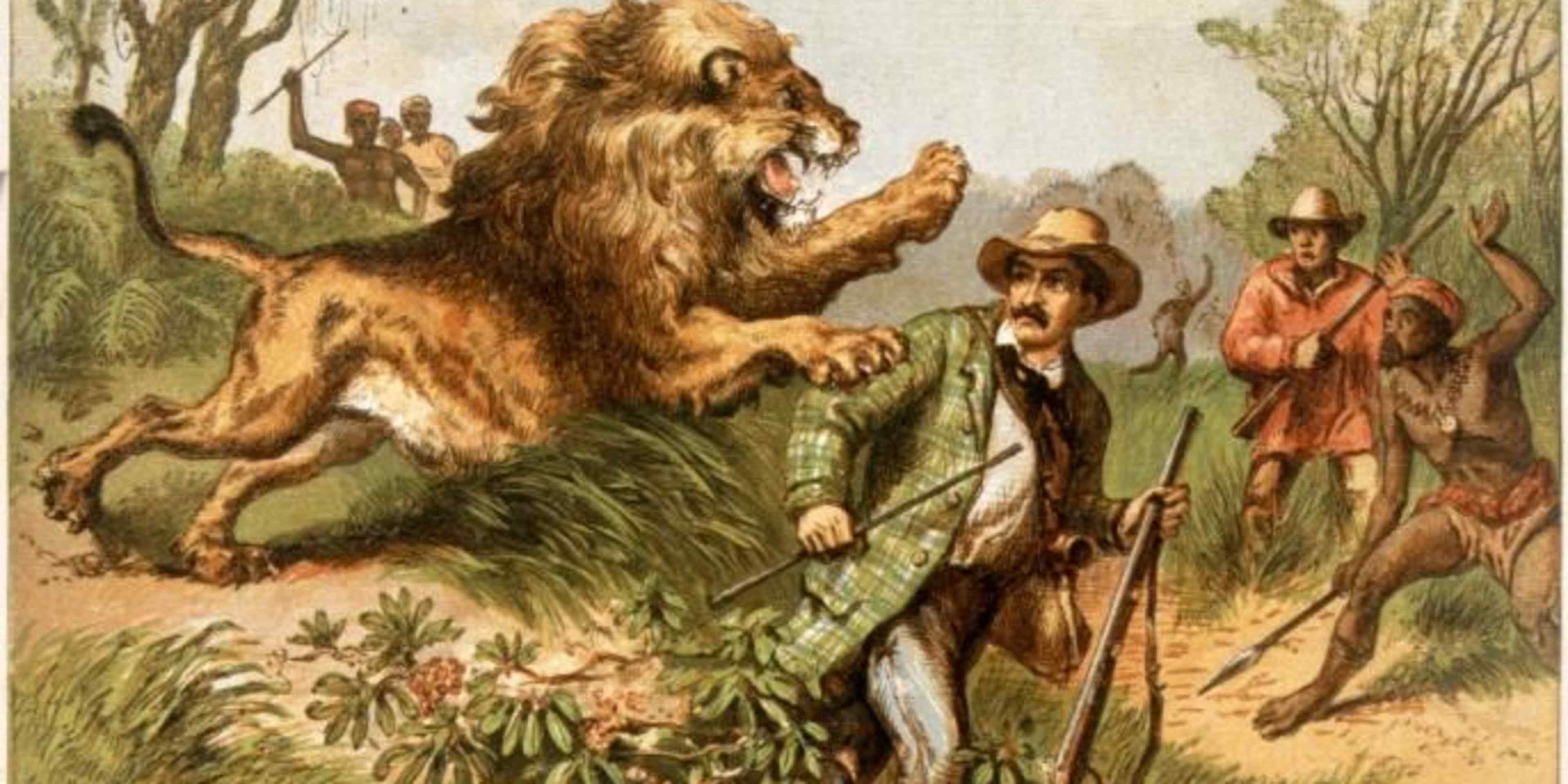 Depiction of Livingstone’s 1843 lion attack (Credit: Hulton Archive/Getty Images)