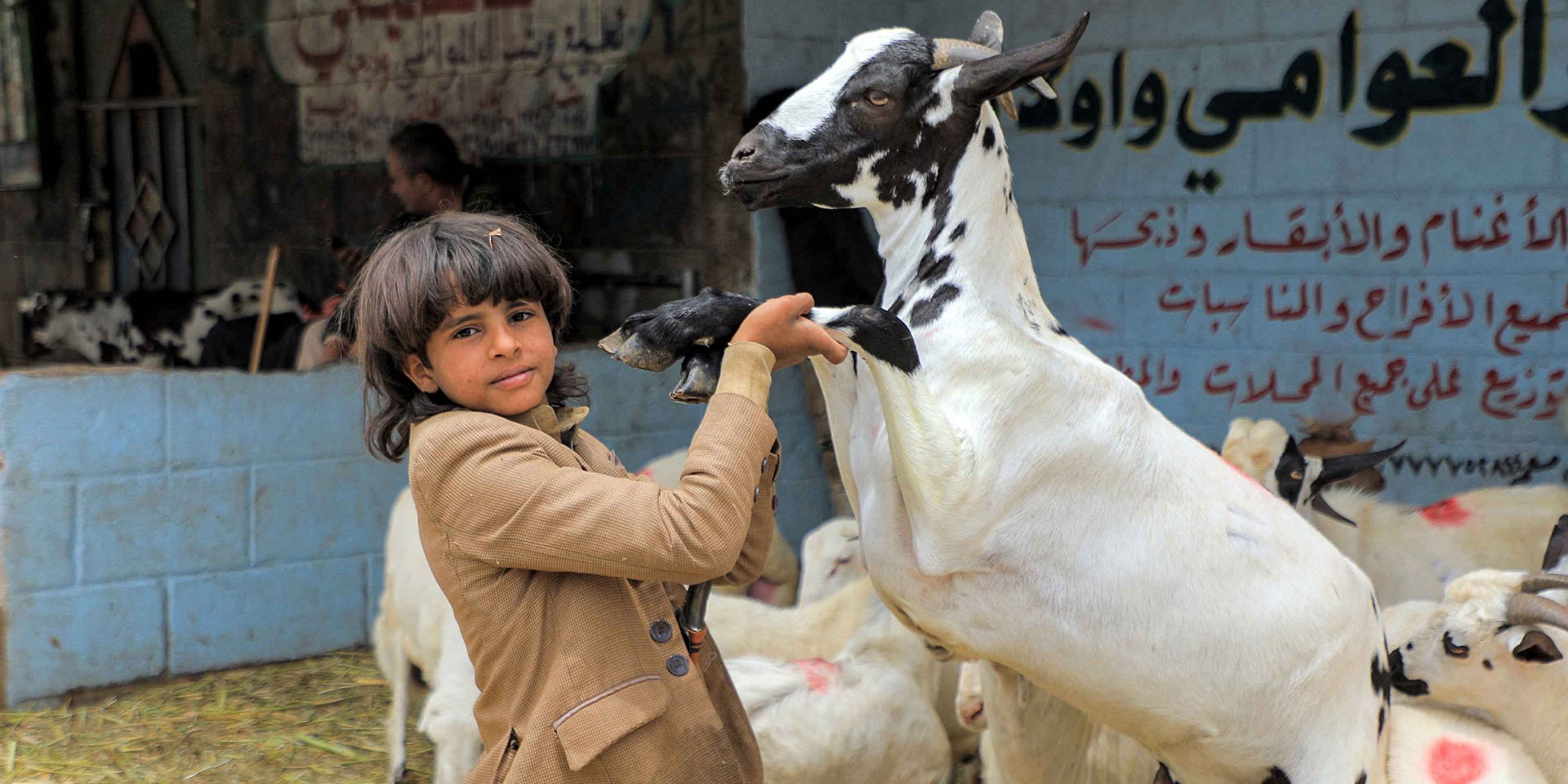A boy holds the front legs of a goat at a livestock market in Yemen's capital Sanaa on July 14, 2021, as people buy provisions in preparation for the Eid al-Adha holiday celebrations. - Known as the "big" festival, Eid Al-Adha is celebrated each year by Muslims sacrificing various animals according to religious traditions, including cows, camels, goats and sheep.