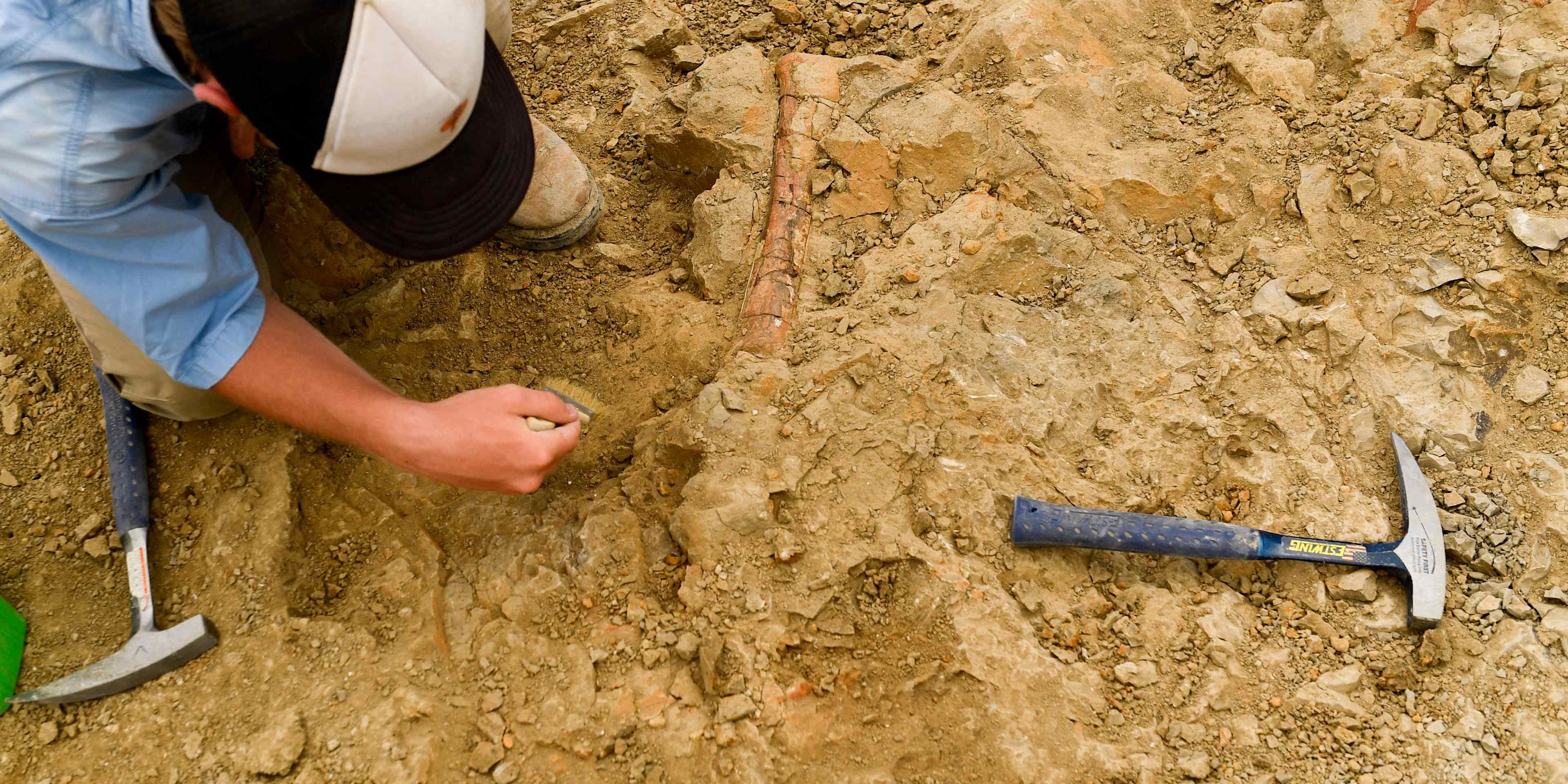 J. Colter Johnson uses a brush to excavate a dinosaur bone believed to be a radius as volunteers and researchers with the Denver Museum of Nature and Science excavate dinosaur bones and fossils from The Blues during an expedition at the Grand Staircase-Escalante National Monument in Utah on July 21, 2021. (Photo by Patrick T. FALLON / AFP) (Photo by PATRICK T. FALLON/AFP via Getty Images)
