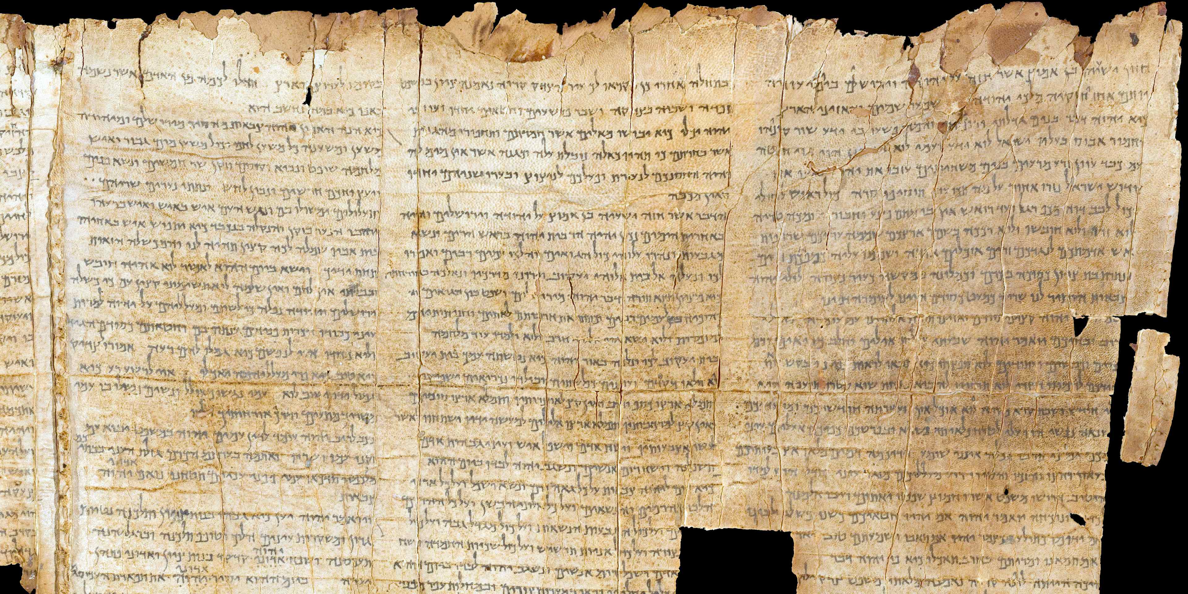 The Temple Scroll, from the Dead Sea Scrolls found at Qumran, scroll number 11Q20, late 1st century BC - early 1st century AD, ink on parchment, Israel Museum, Jerusalem.