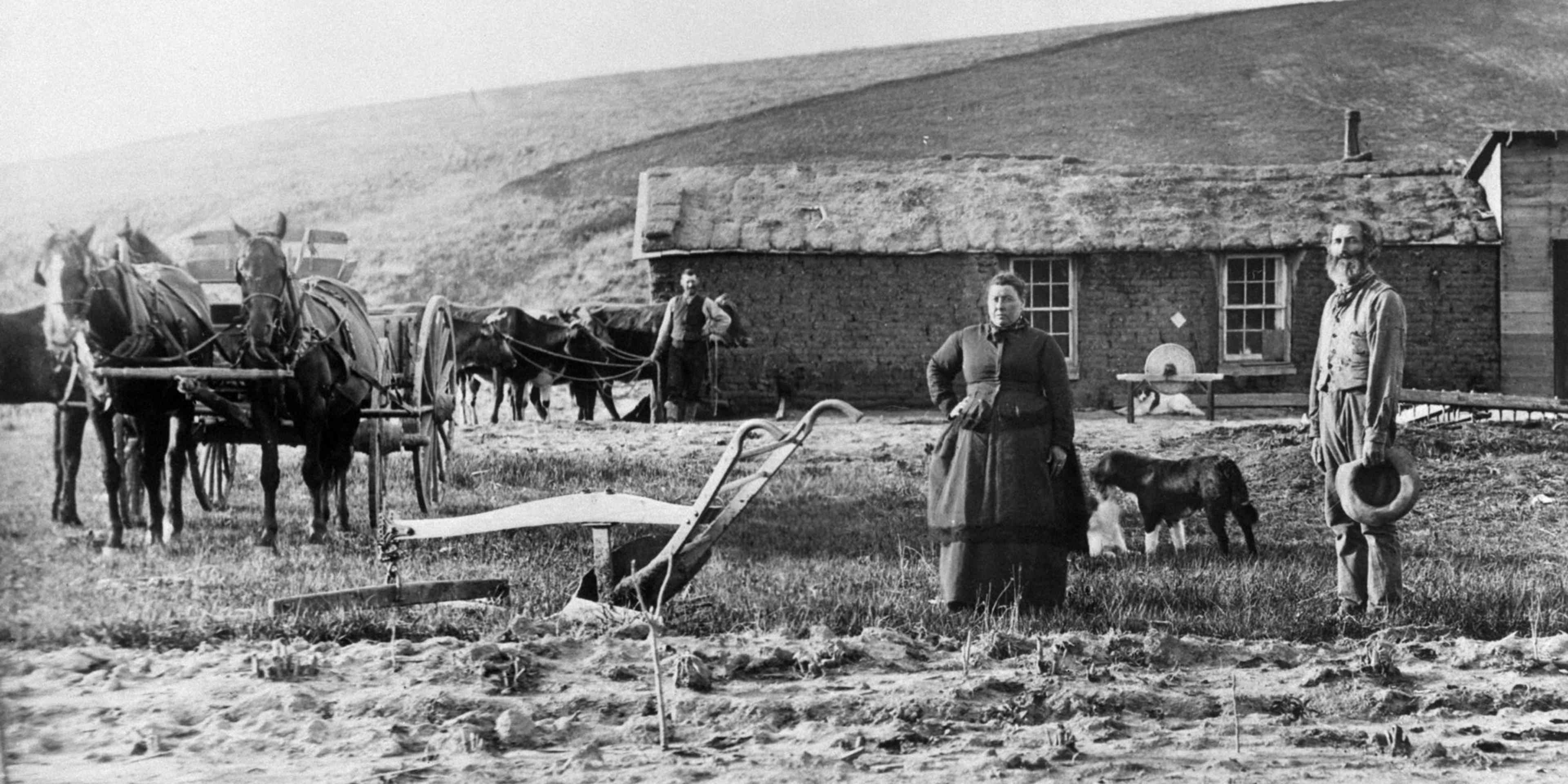 HISTORY: Homestead Act