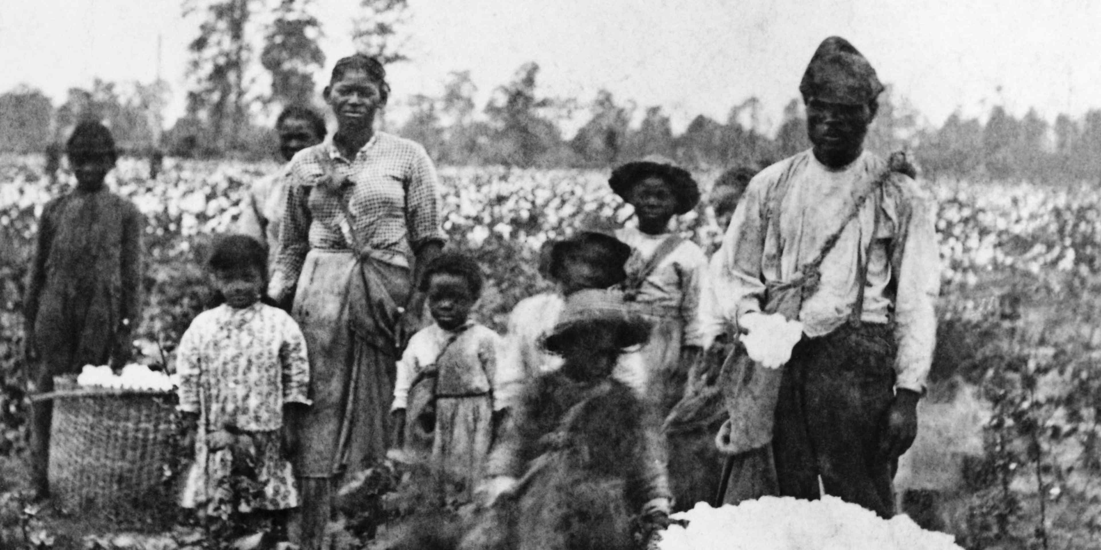 did slaves pick tobacco plantation hi-res stock photography and images How Slavery Became the Economic