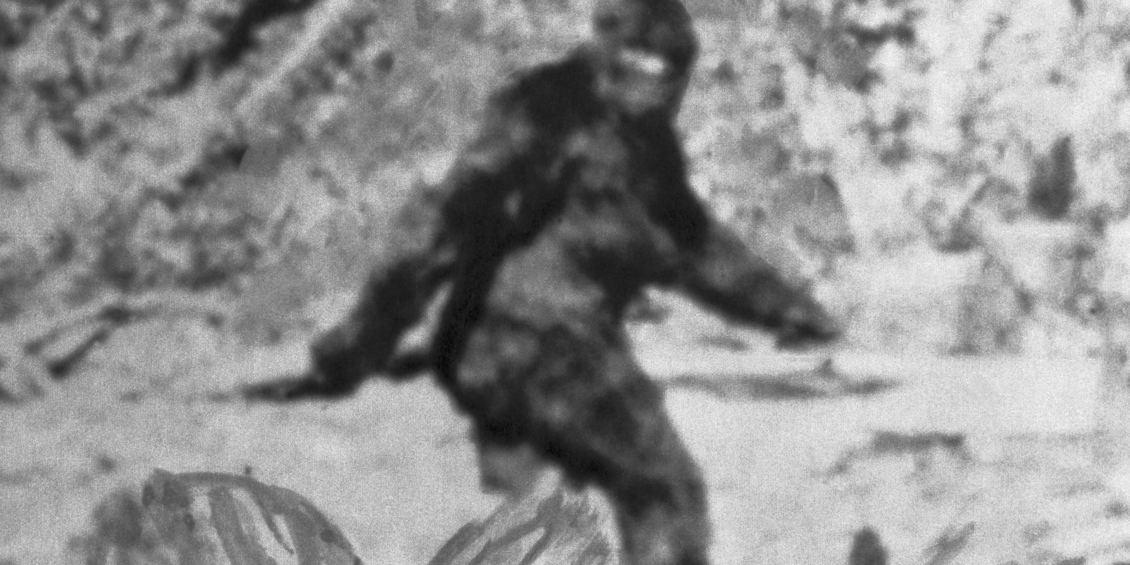 Big Foot Big Foot