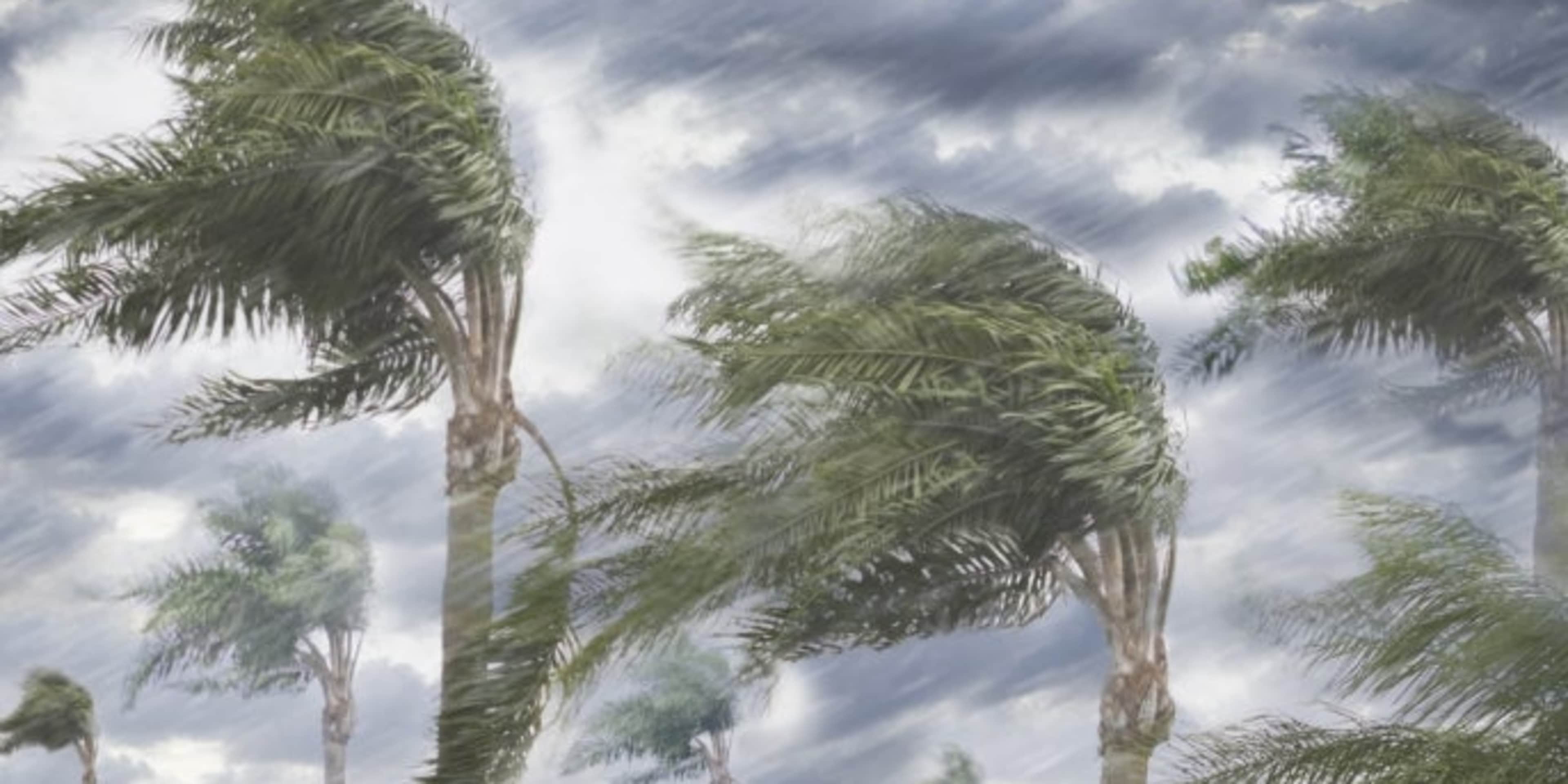 Rain and storm winds blowing trees. (Credit: Blend Images/Getty Images)