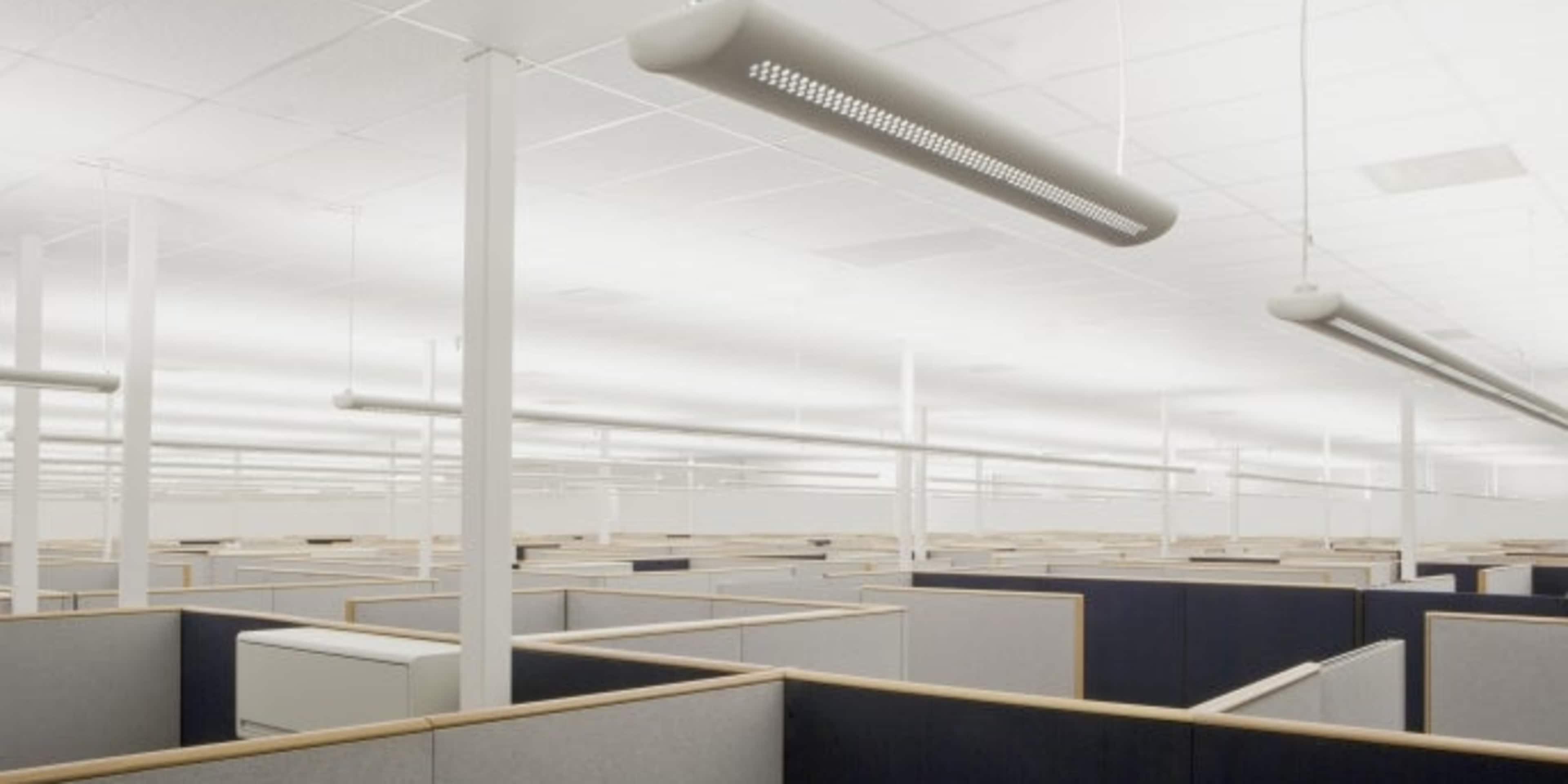 The modern workplace of cubicles.