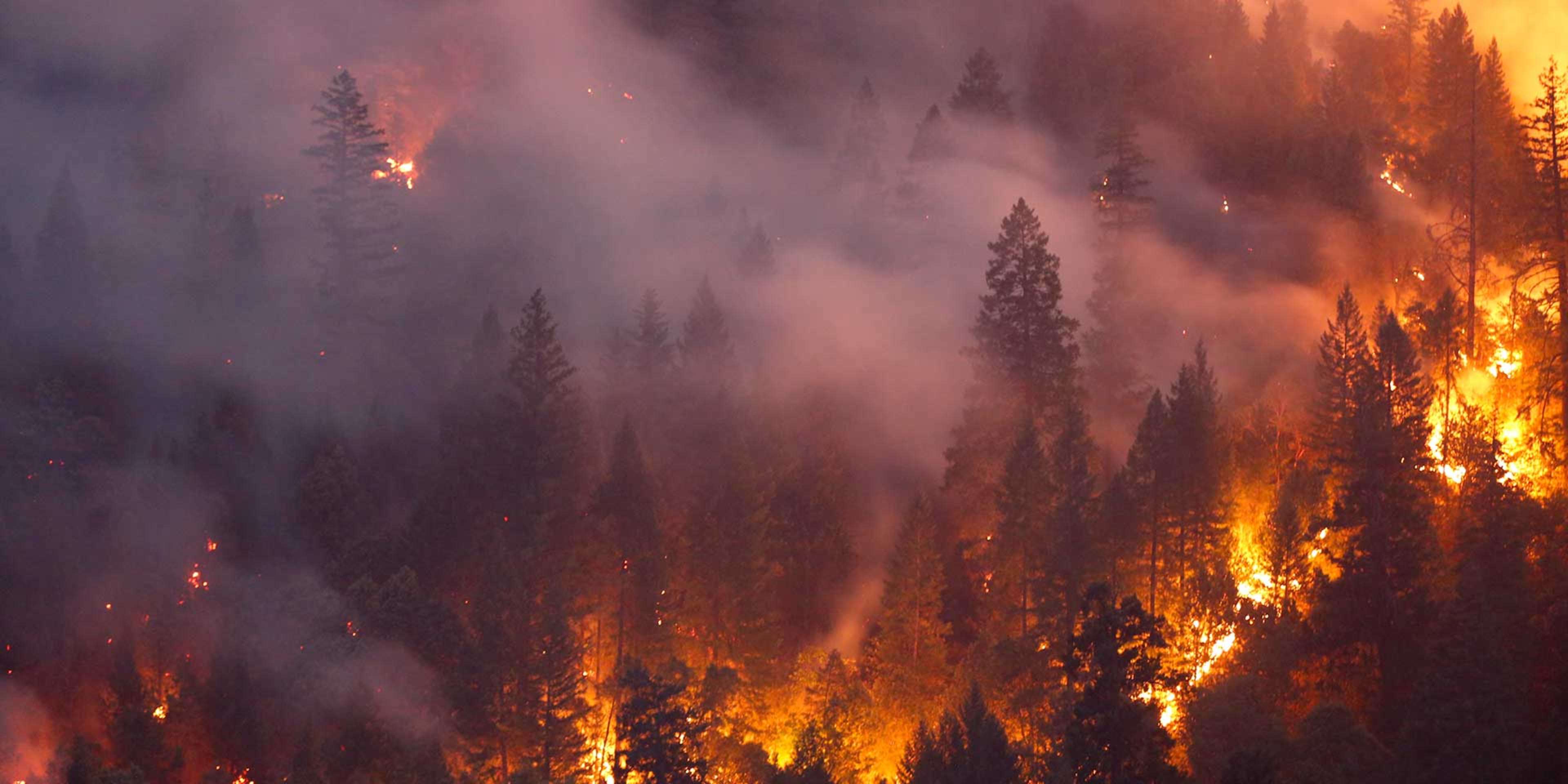 wildfire