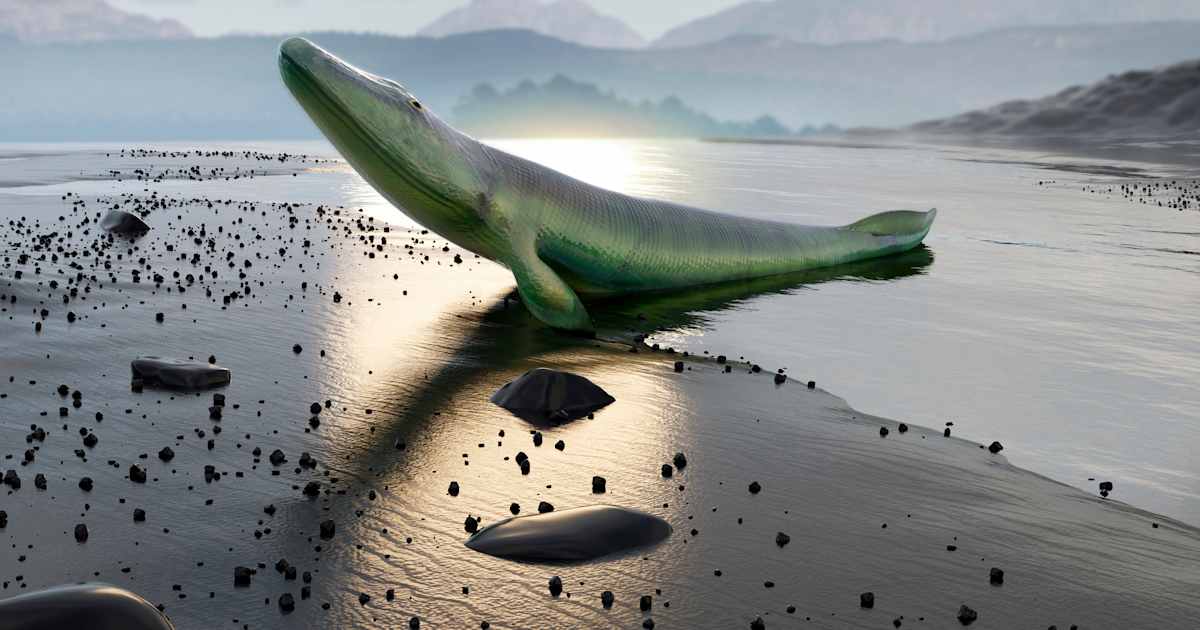 What Was the First Animal to Walk on Land? | HISTORY
