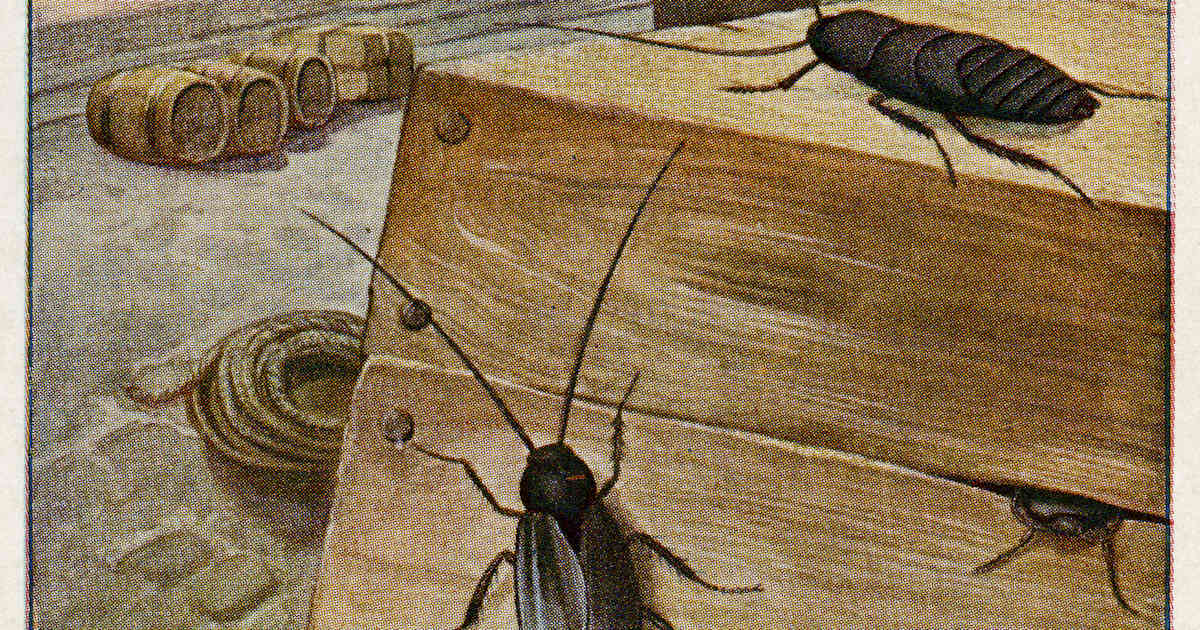The Pests That Plagued Colonial America