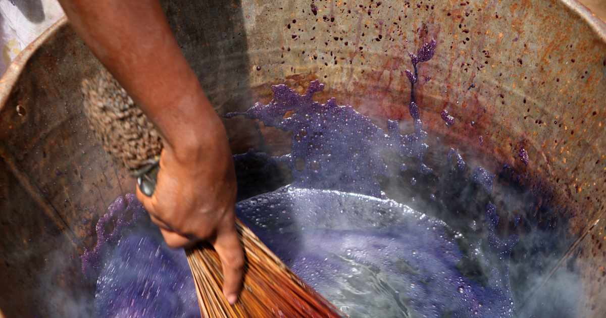 The Purple Dye That Powered the Ancient Phoenician Empire