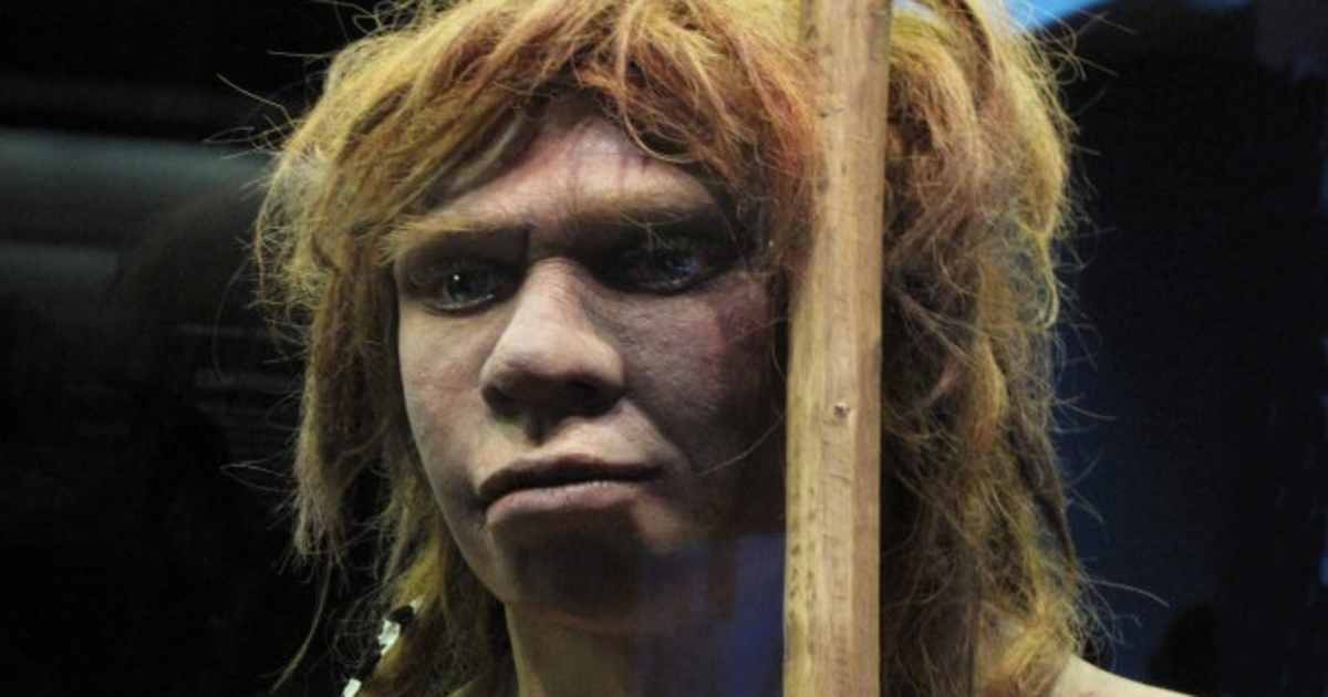 HISTORY EVENTS IN 2010 visual data 4