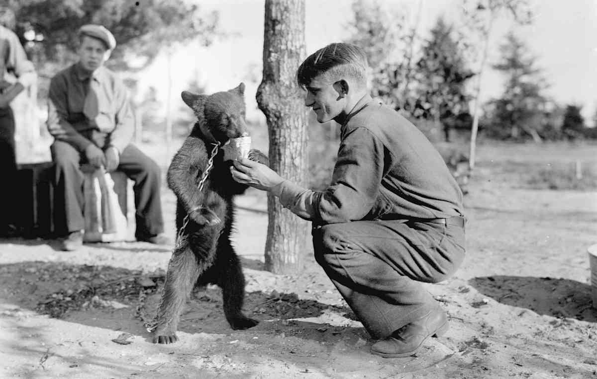 Civilian Conservation Corps photos