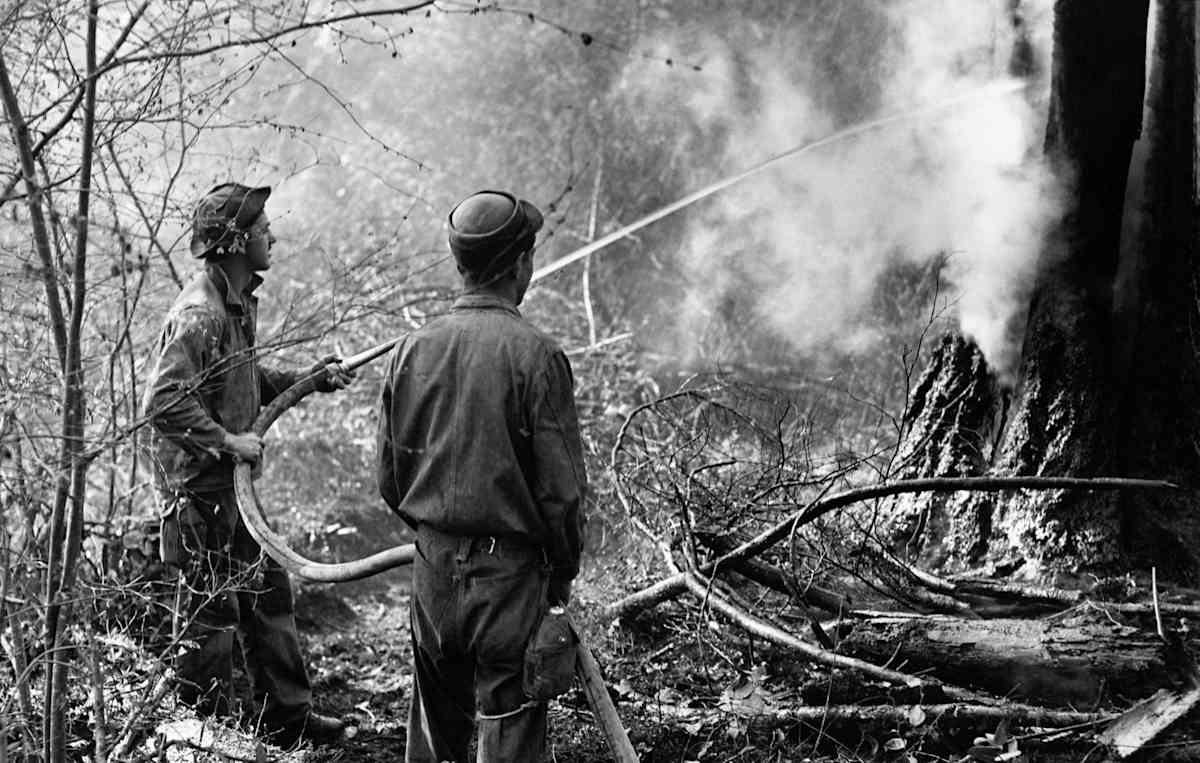 Civilian Conservation Corps photos