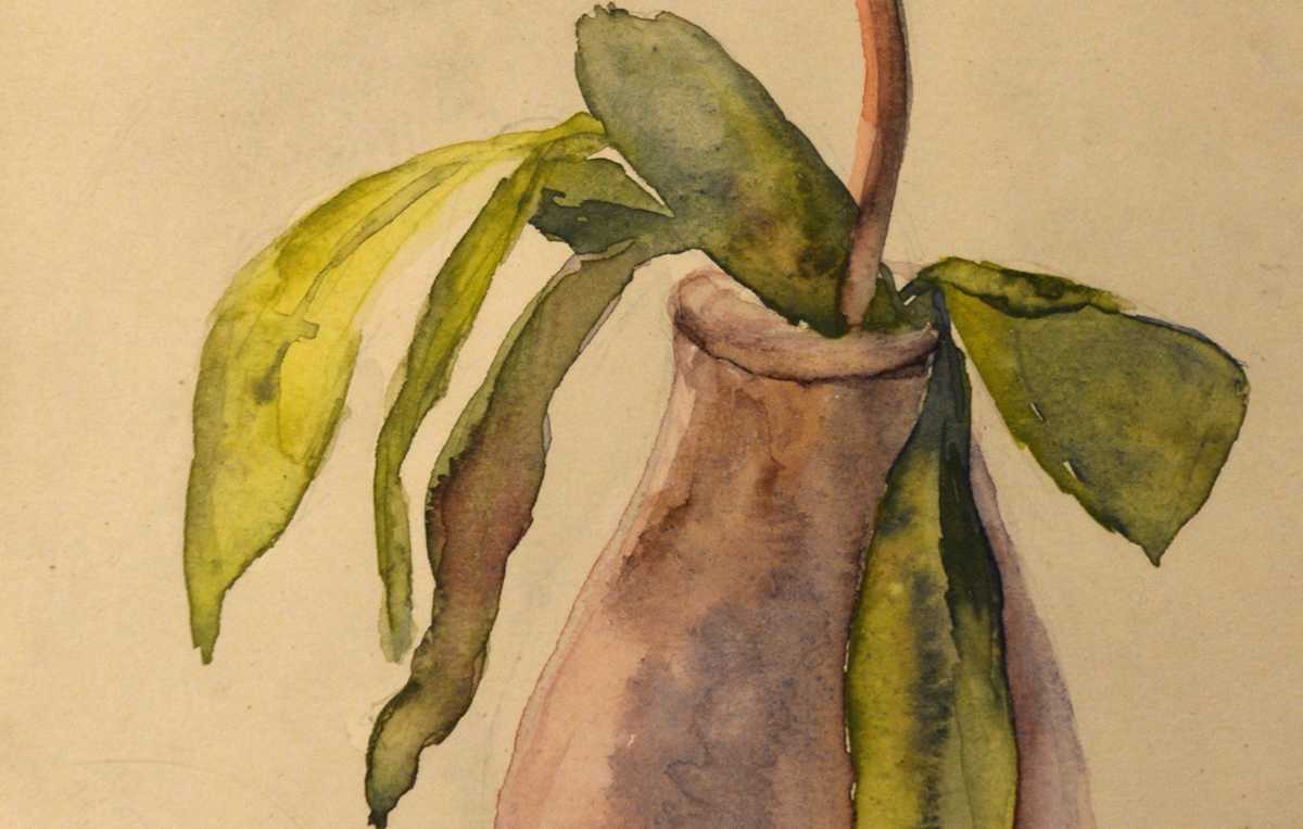 Painting by Adolf Hitler