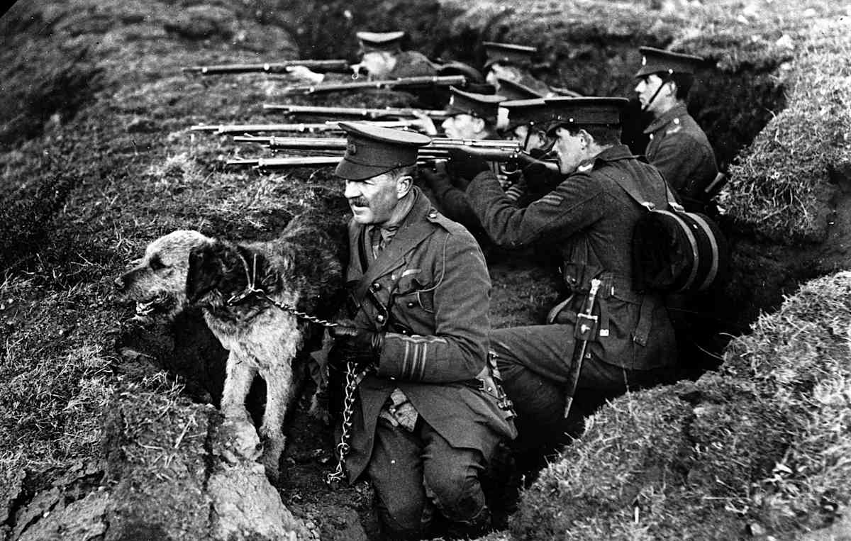 WWI Dogs