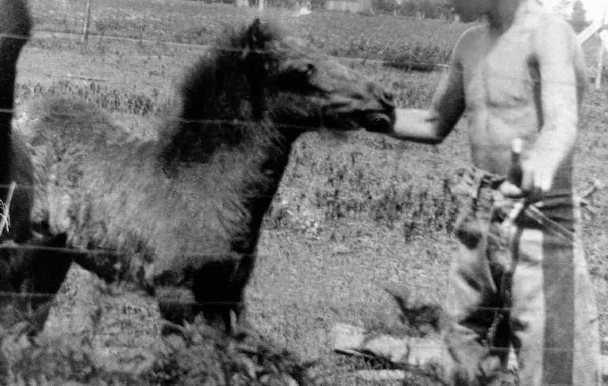 Jimmy Carter: Photos