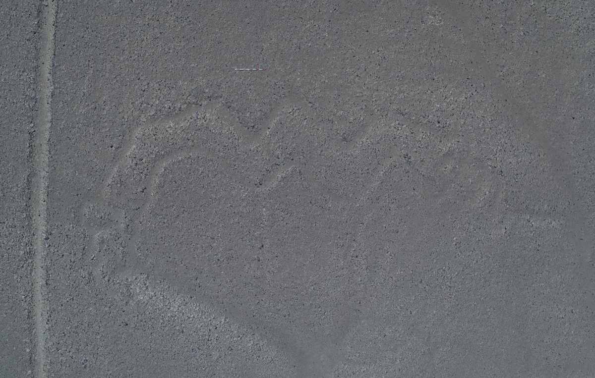 Ancient Drawings discovered in Peru
