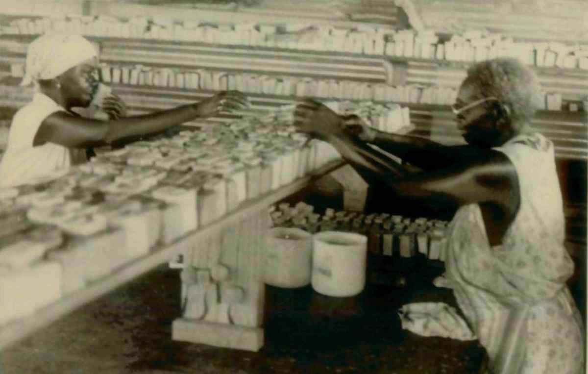 Jonestown