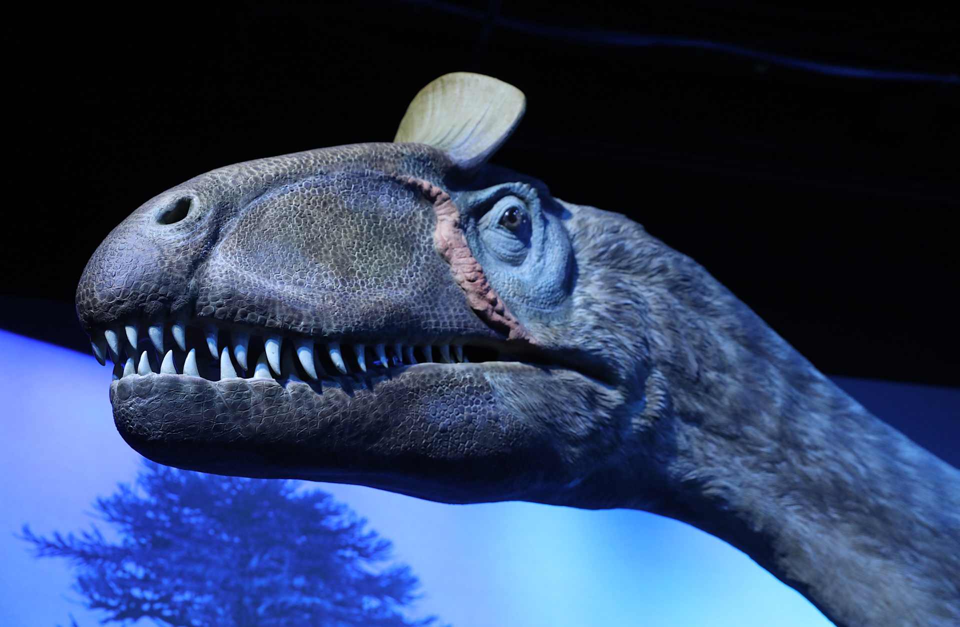 'Antarctic Dinosaurs' bring new ice age to Field Museum