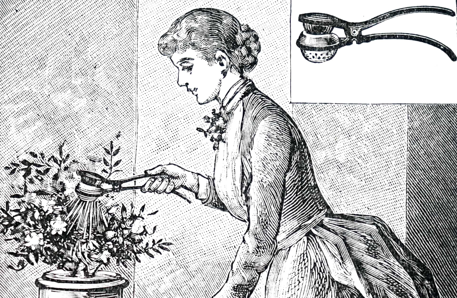 A sprinkler for use on houseplants.