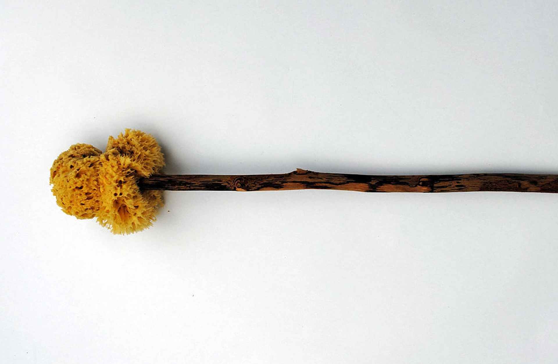 Tersorium, or Xylospongium