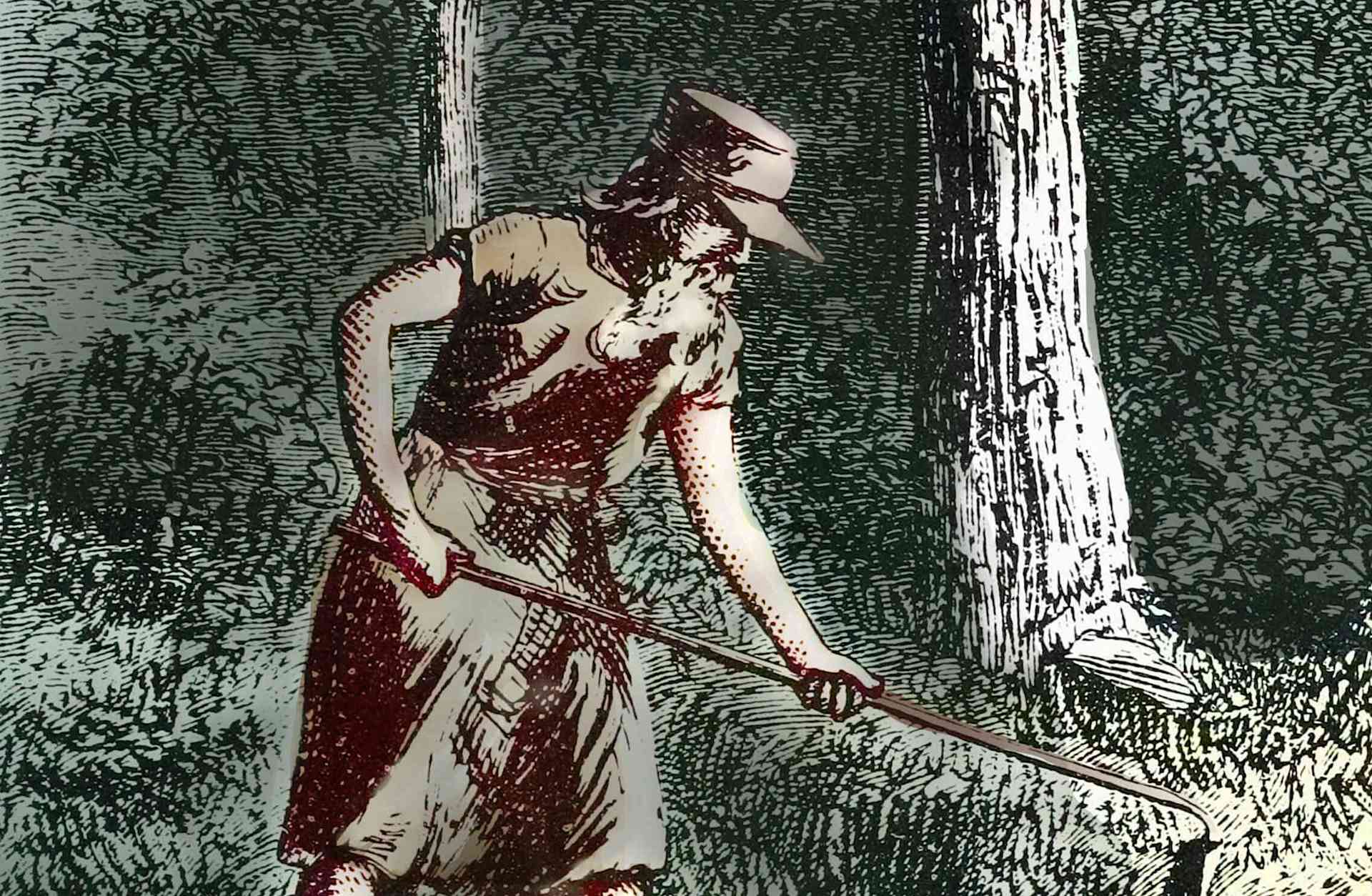 An etching of Johnny Appleseed, from Harper's New Monthly Magazine, 1871.