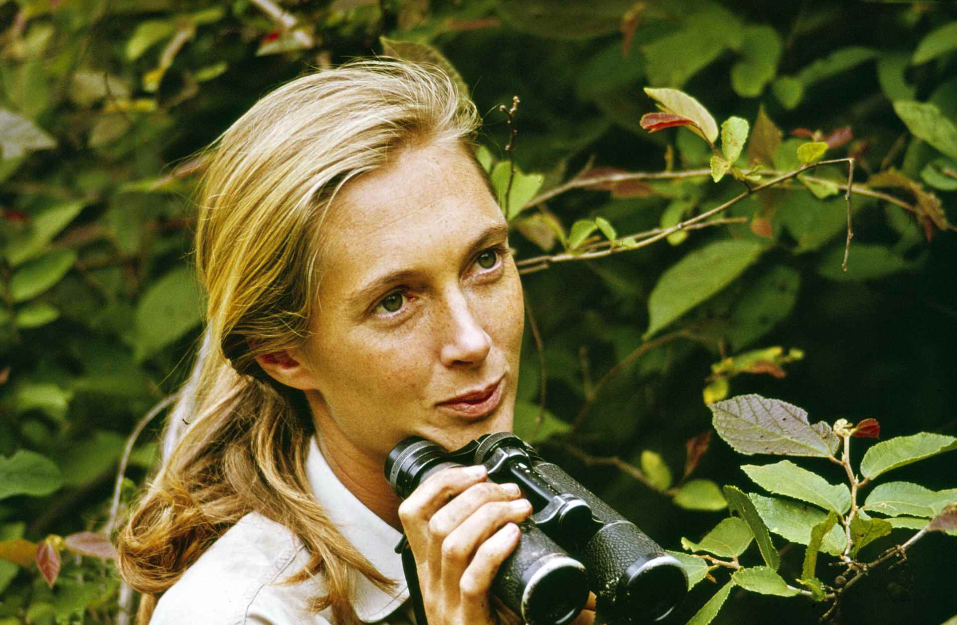 Jane Goodall with binoculars
