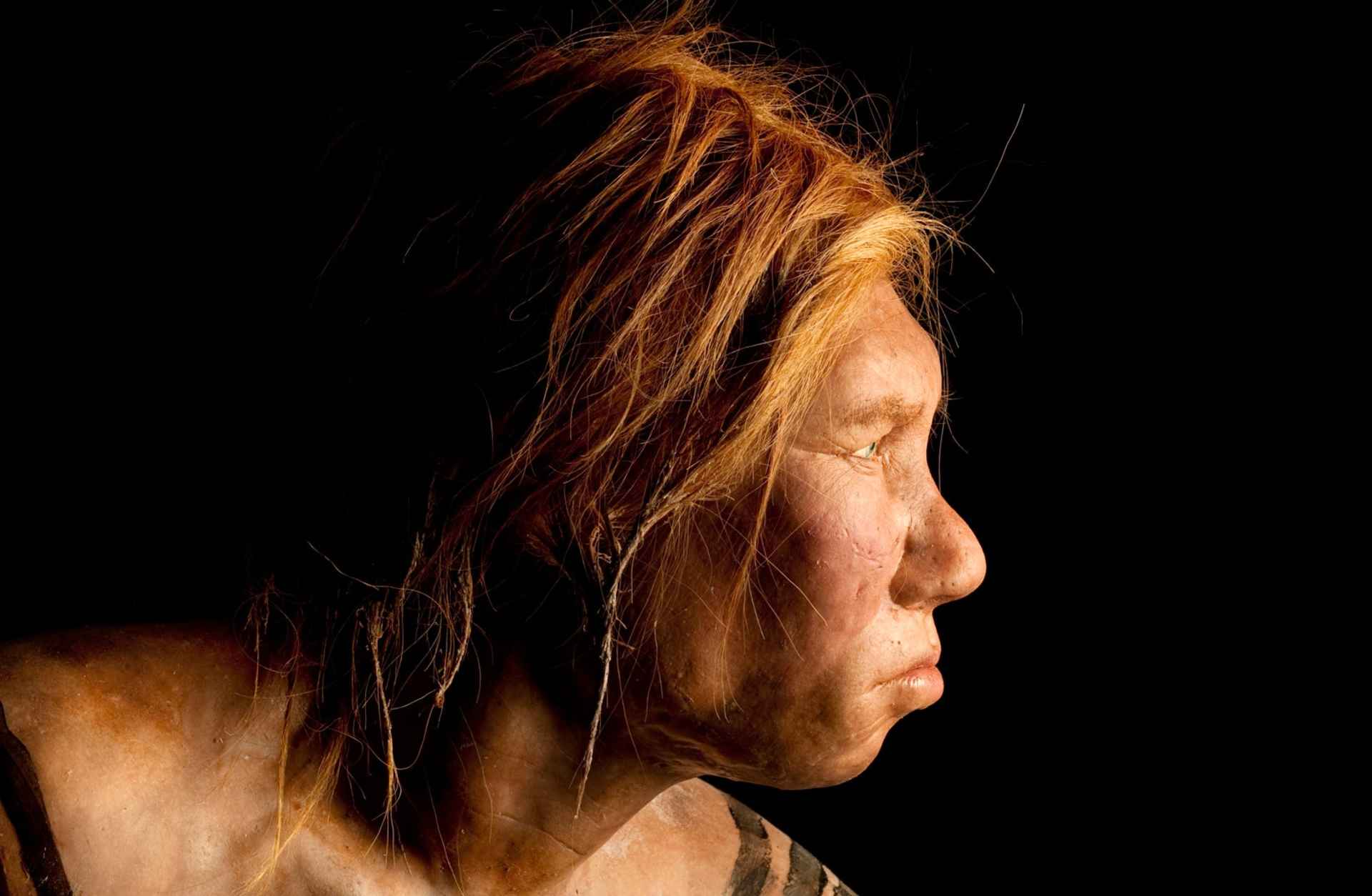 Neanderthal woman, recreation