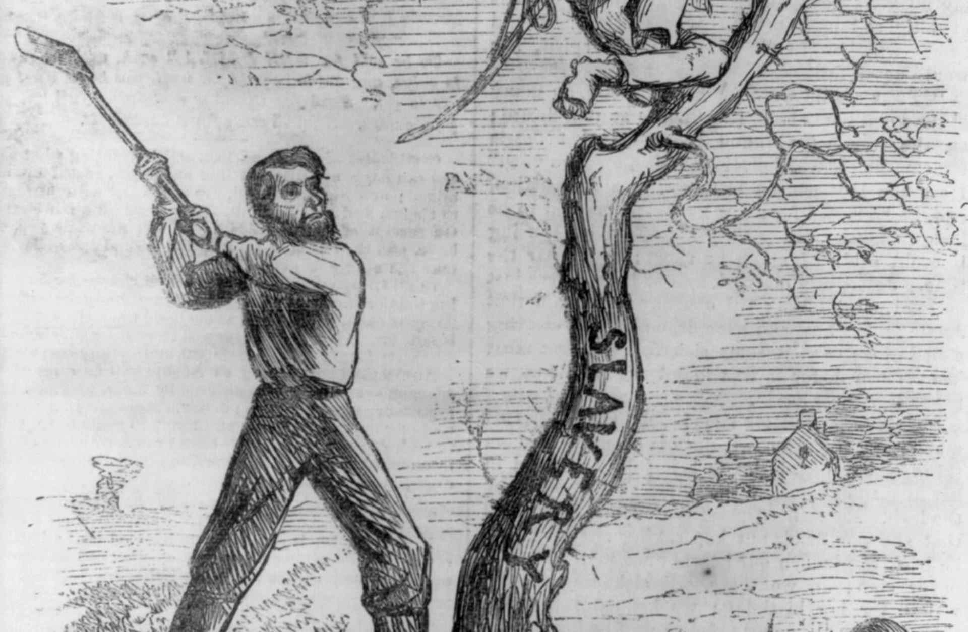 Lincoln's Last Warning - President Lincoln about to cut down tree (slavery) - warning a man to come down from the tree, Political Cartoon 1862 - Image ID: E70HC7 (RM)