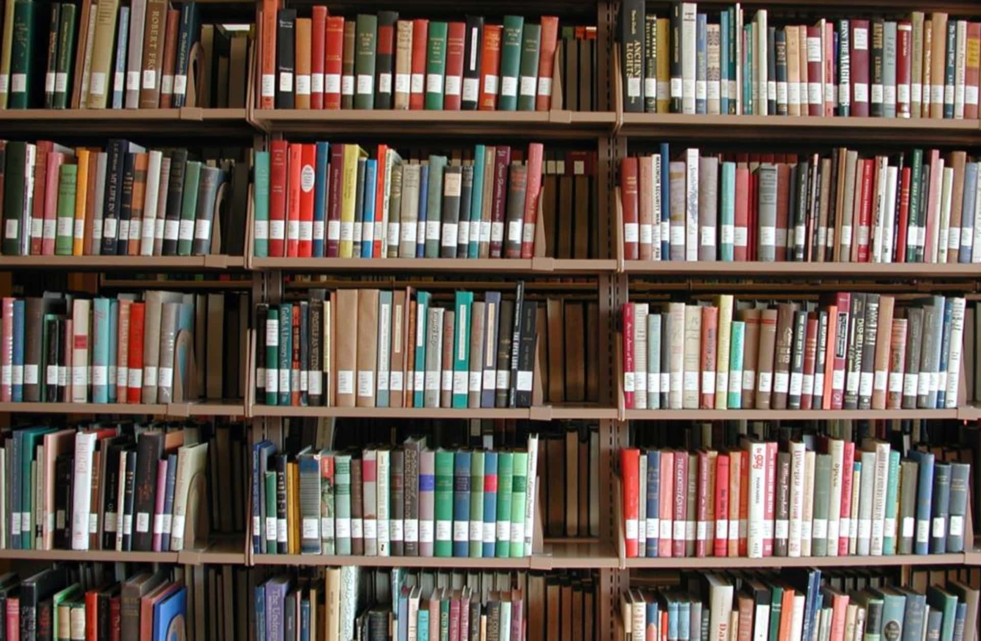 Books on a college library bookshelf. (Credit: Kickstand/Getty Images)