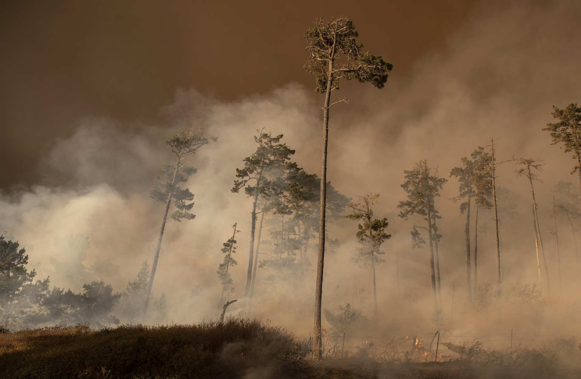 2020 Wildfires, San Mateo, California