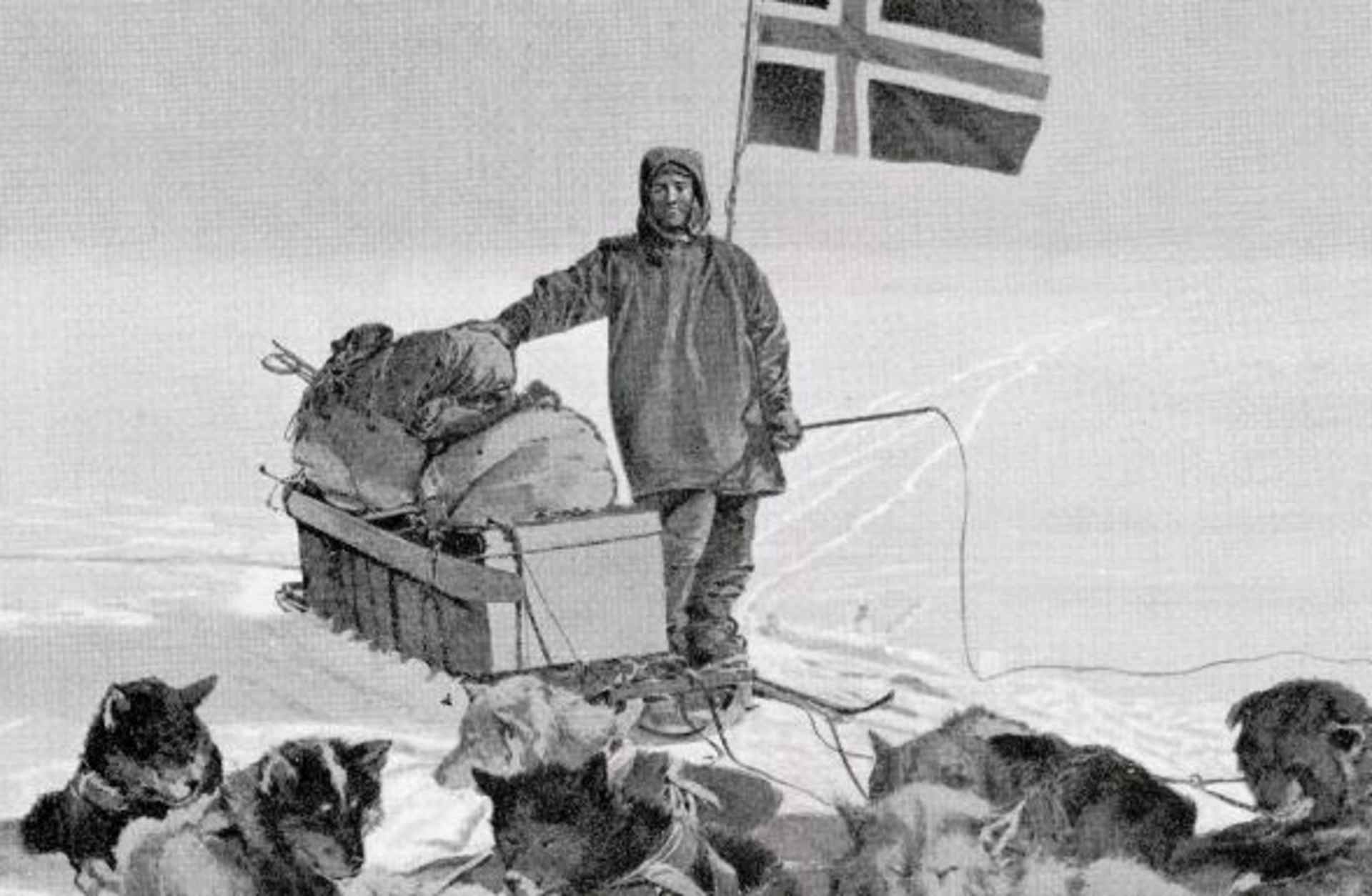 Captain Roald Engelbregt Gravning Amundsen at the South pole under the Norwegian flag. (Credit: Universal History Archive/Getty Images)