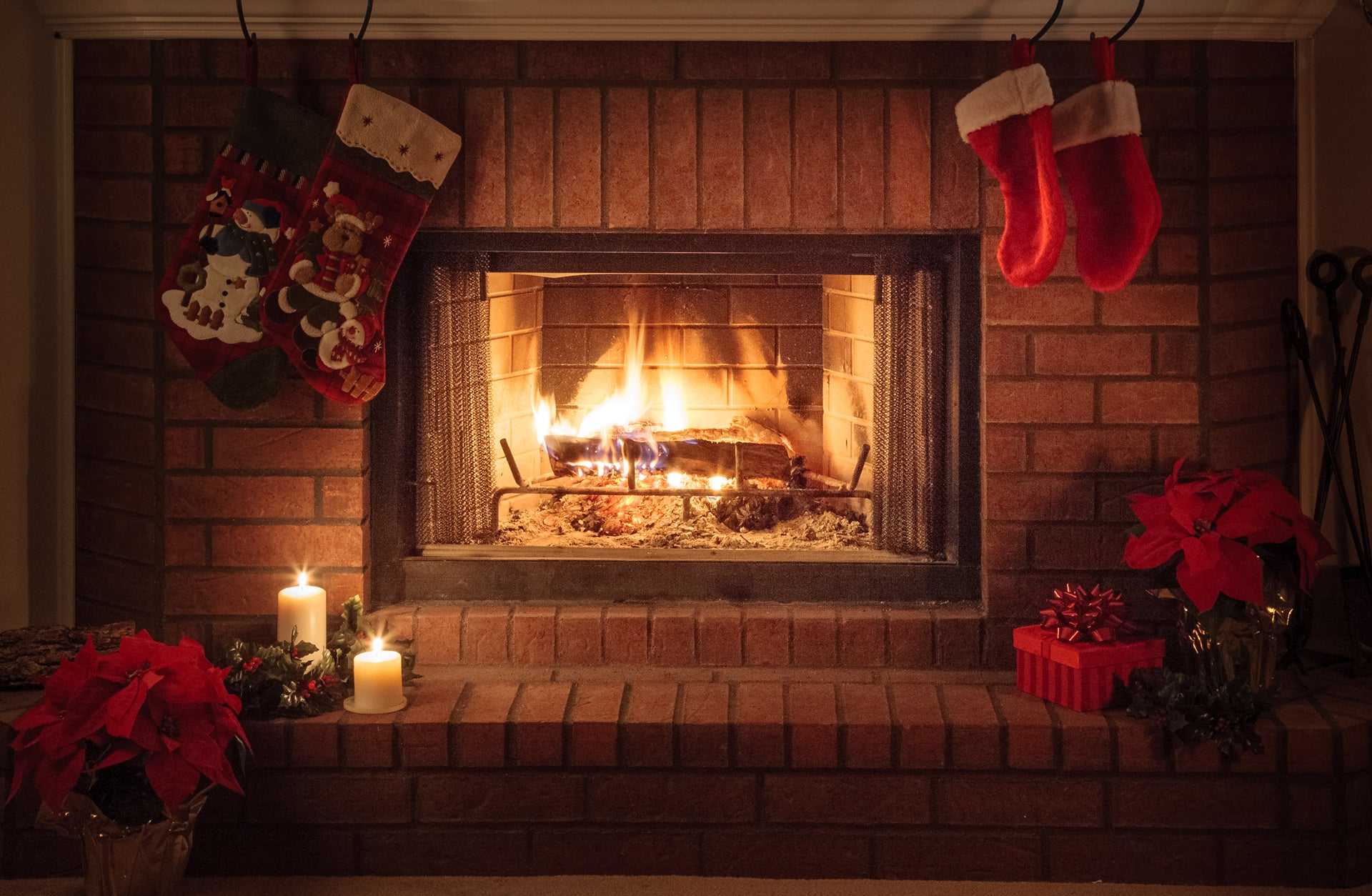 Christmas Traditions: Yule Log