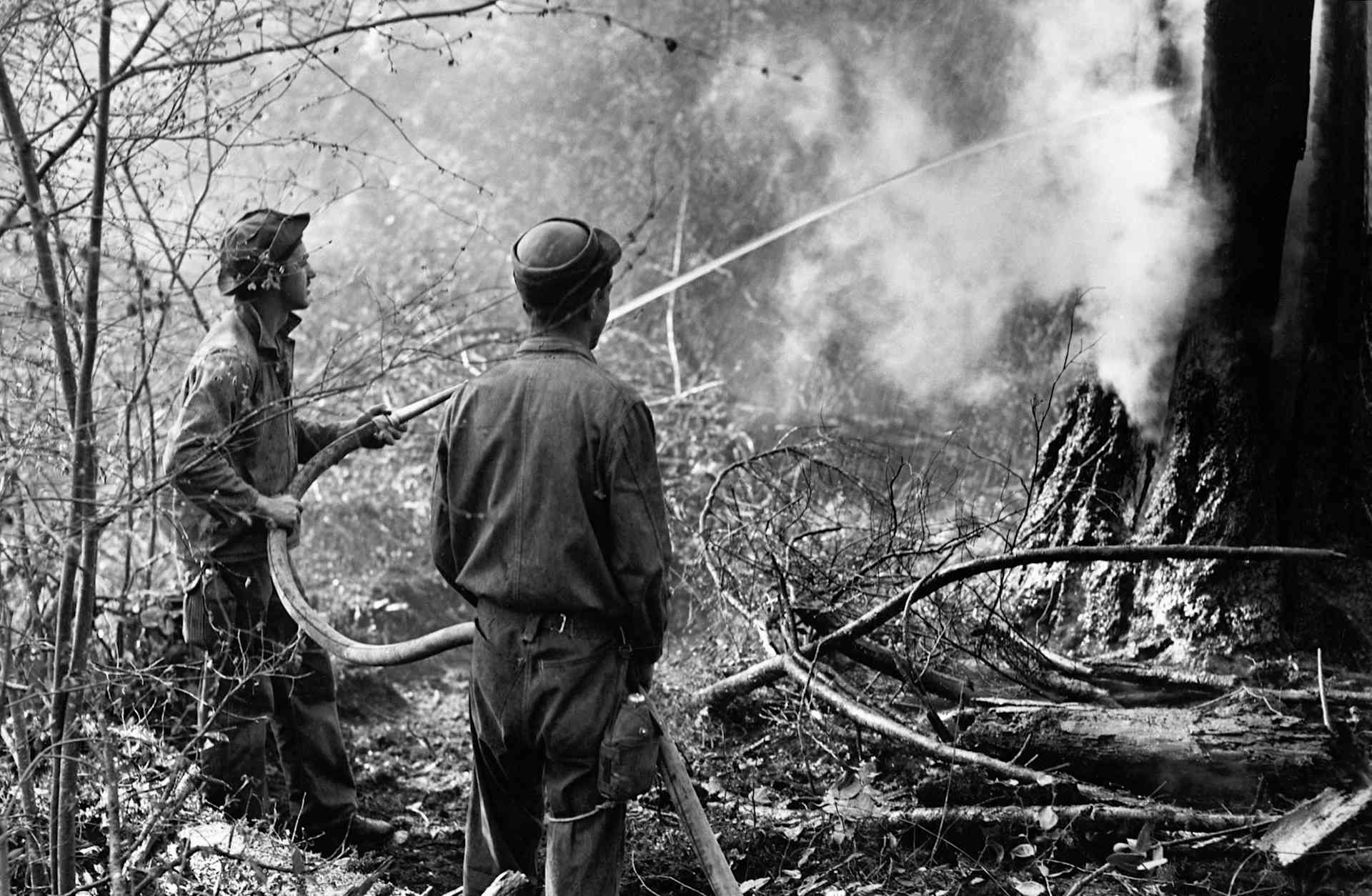 Civilian Conservation Corps photos