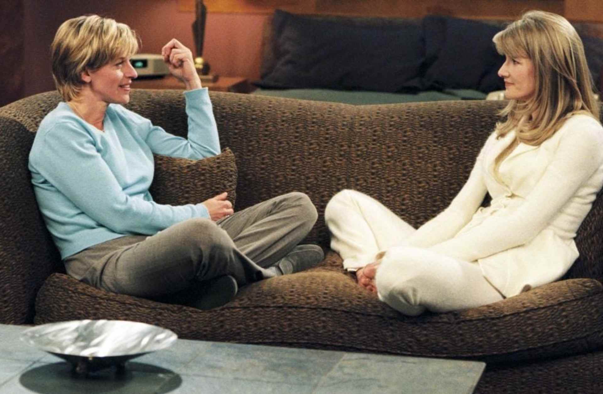 Ellen The Puppy Episode