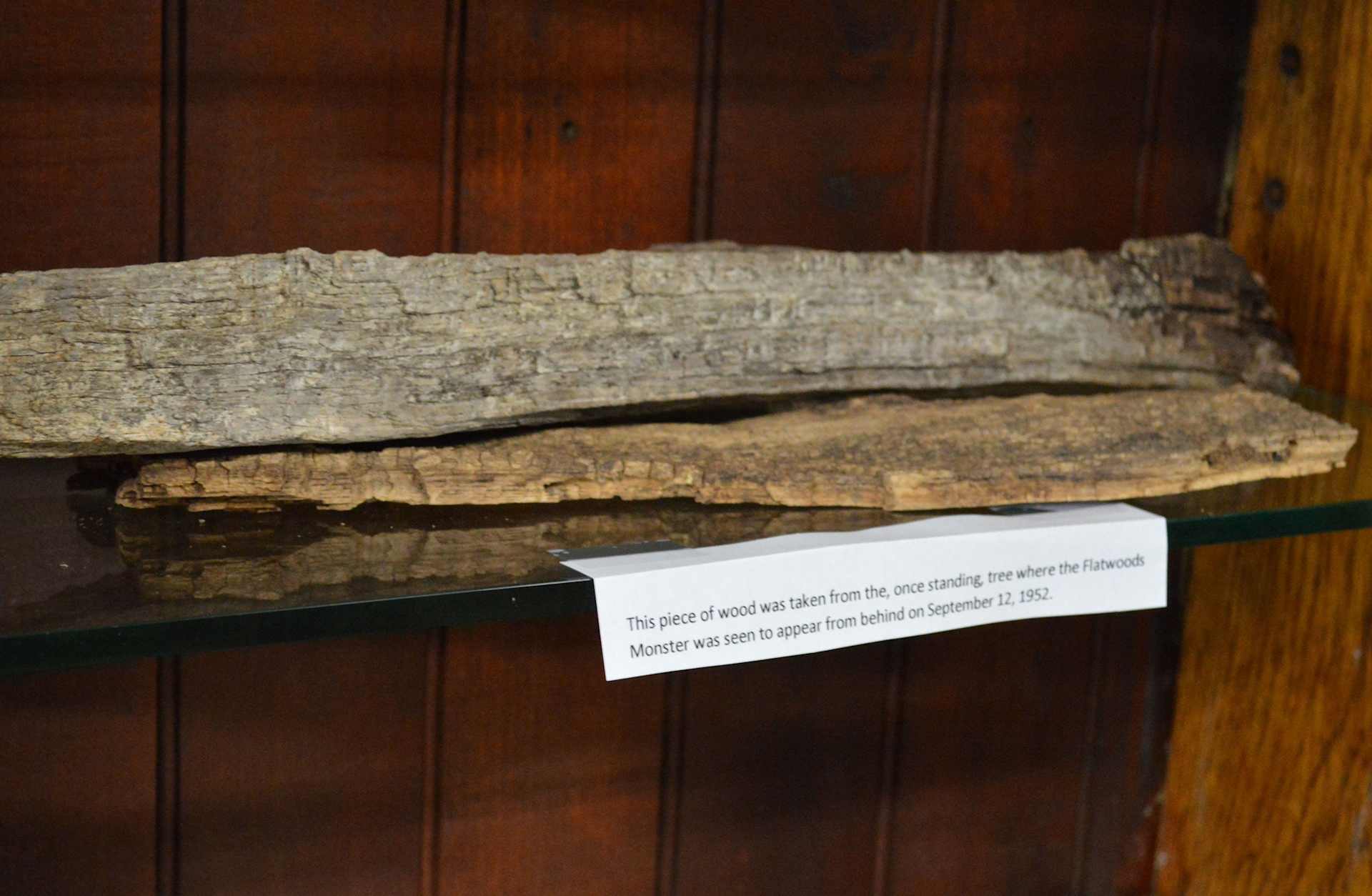 Wood taken from a tree where the Flatwoods Monster was sighted