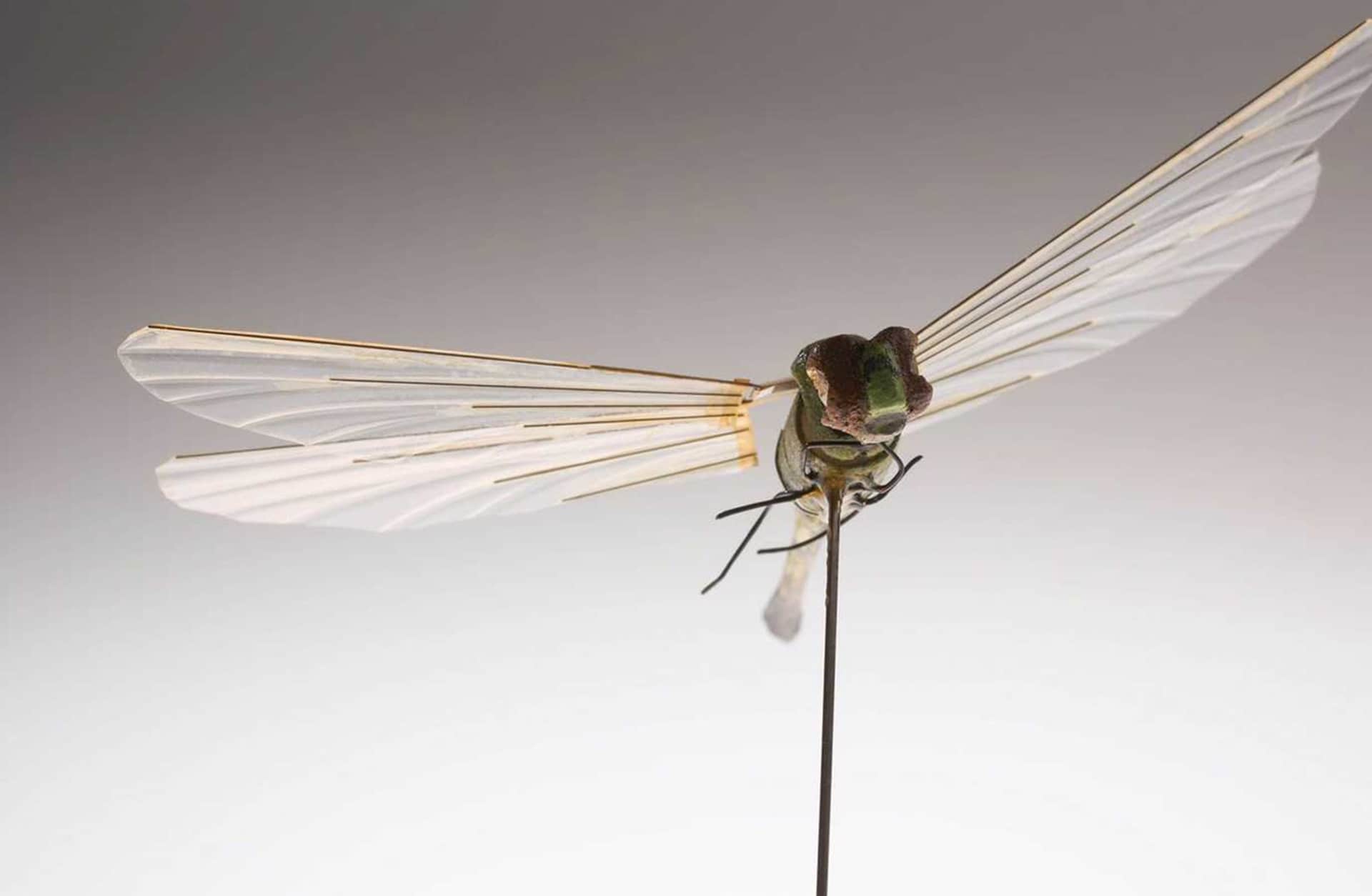 The insectothopter was a covert listening device developed in the 1970s by the CIA. It was camouflaged as a realistic looking (and flying) dragonfly.