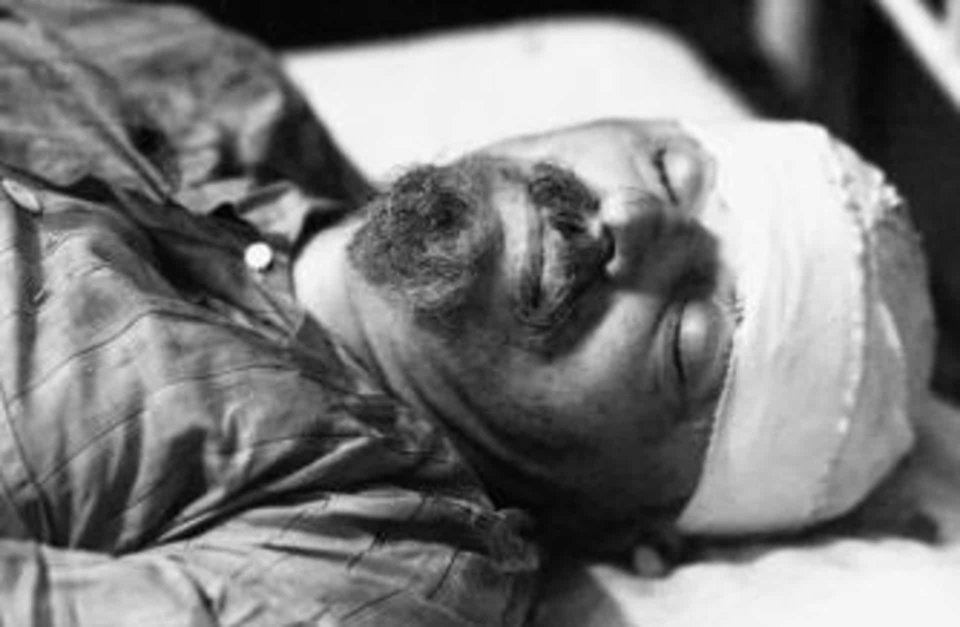 leon trotsky