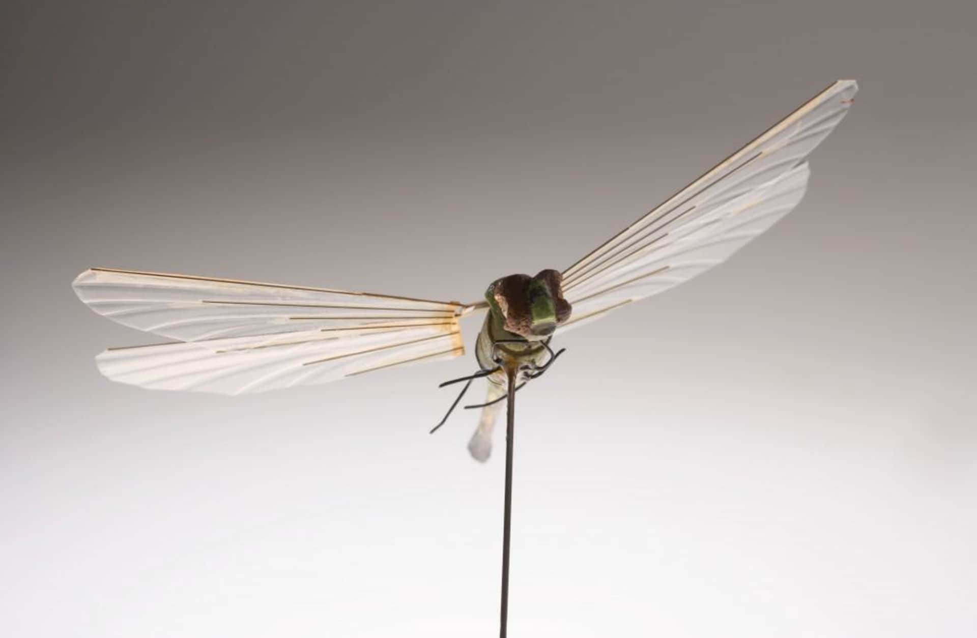 mechanical flying bug with wings spread