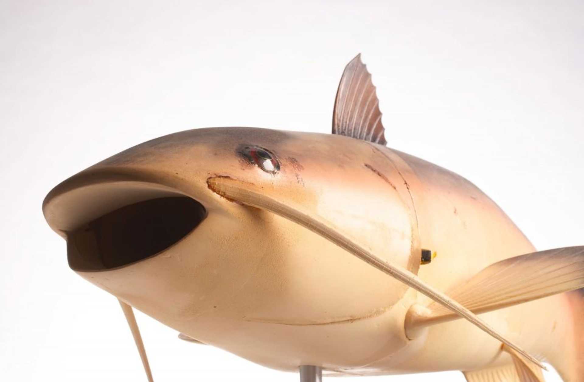 radio-controlled robotic catfish