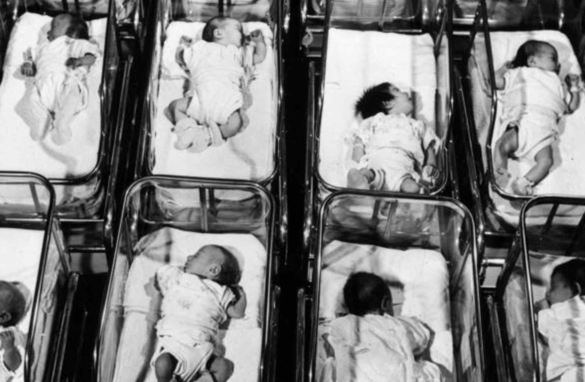 New born babies in an American hospital. (Credit: Three Lions/Getty Images)