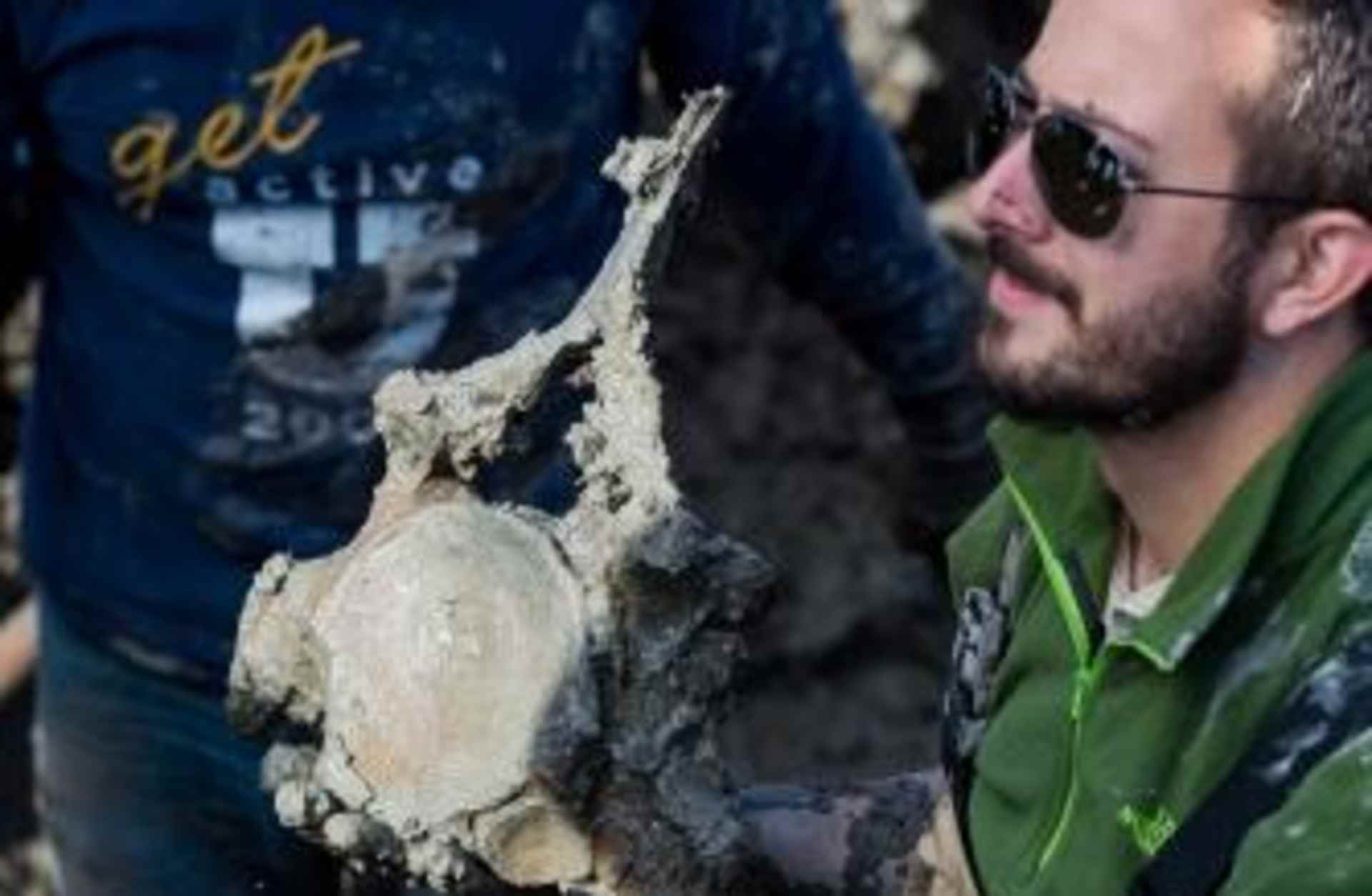 One of the mammoth vertebrae recovered during Thursday's dig. (Credit: Daryl Marshke/University of Michigan)