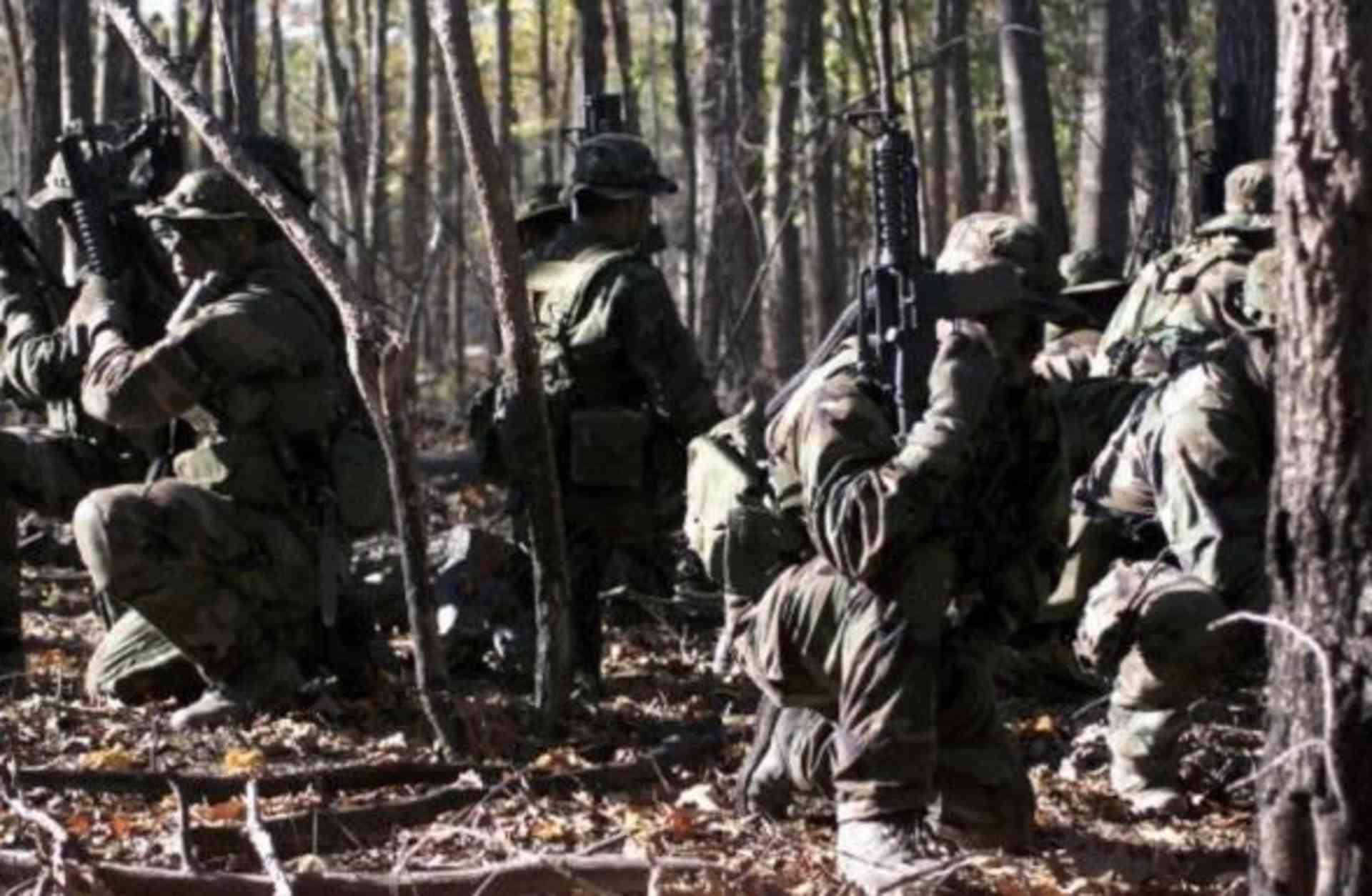 Squad of SEALs performing woodland operation. (Credit: U.S. Department of Defense)