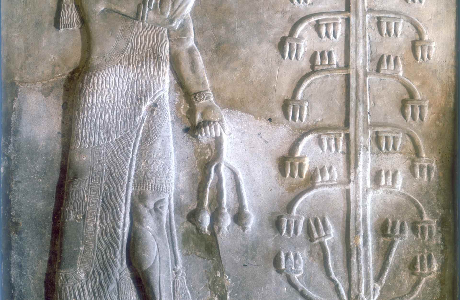 Sargon