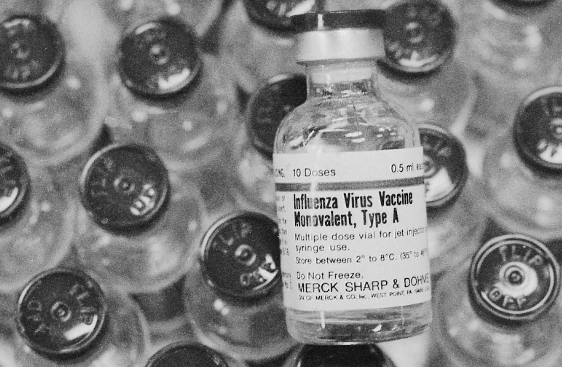 Swine flu vaccine, 1976